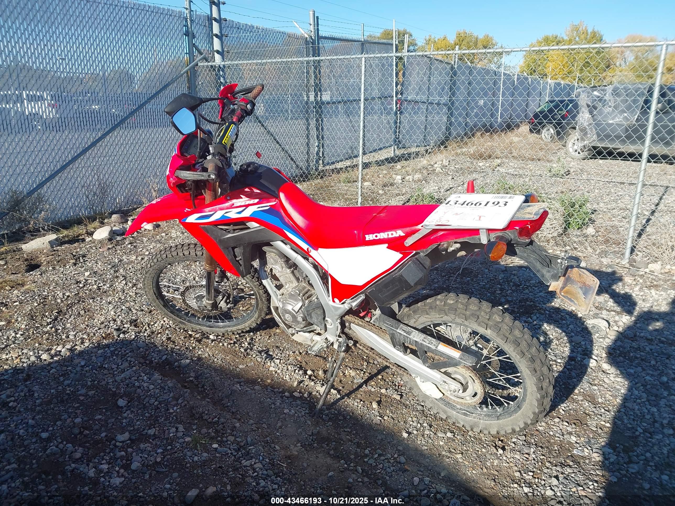 HONDA CRF300 image 3