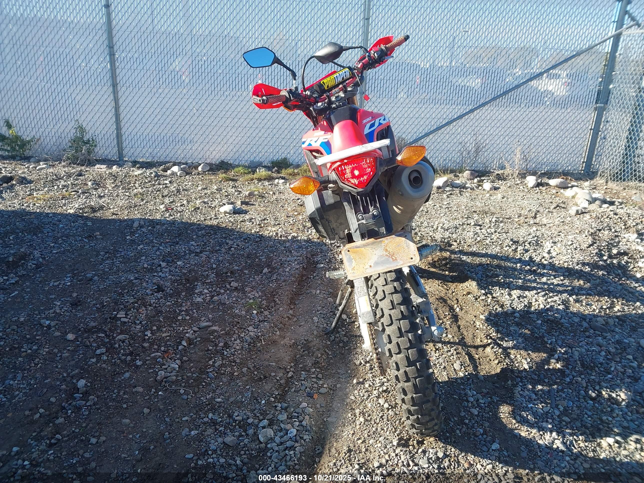 HONDA CRF300 image 6