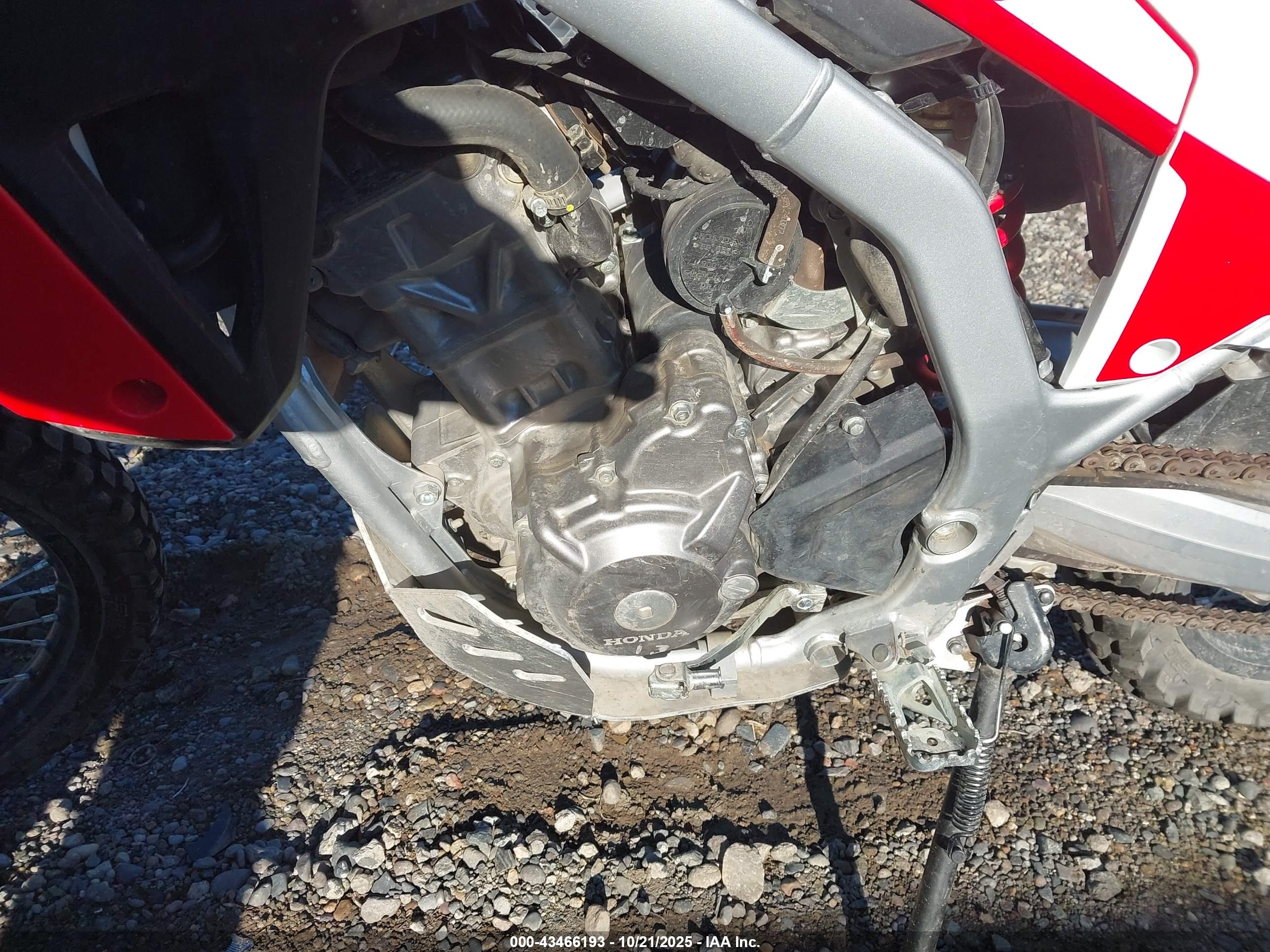 HONDA CRF300 image 9