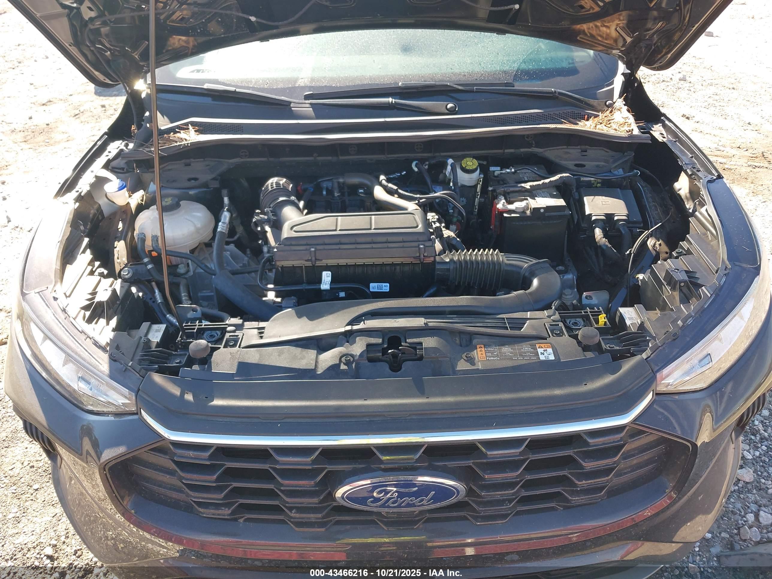 FORD ESCAPE image 10