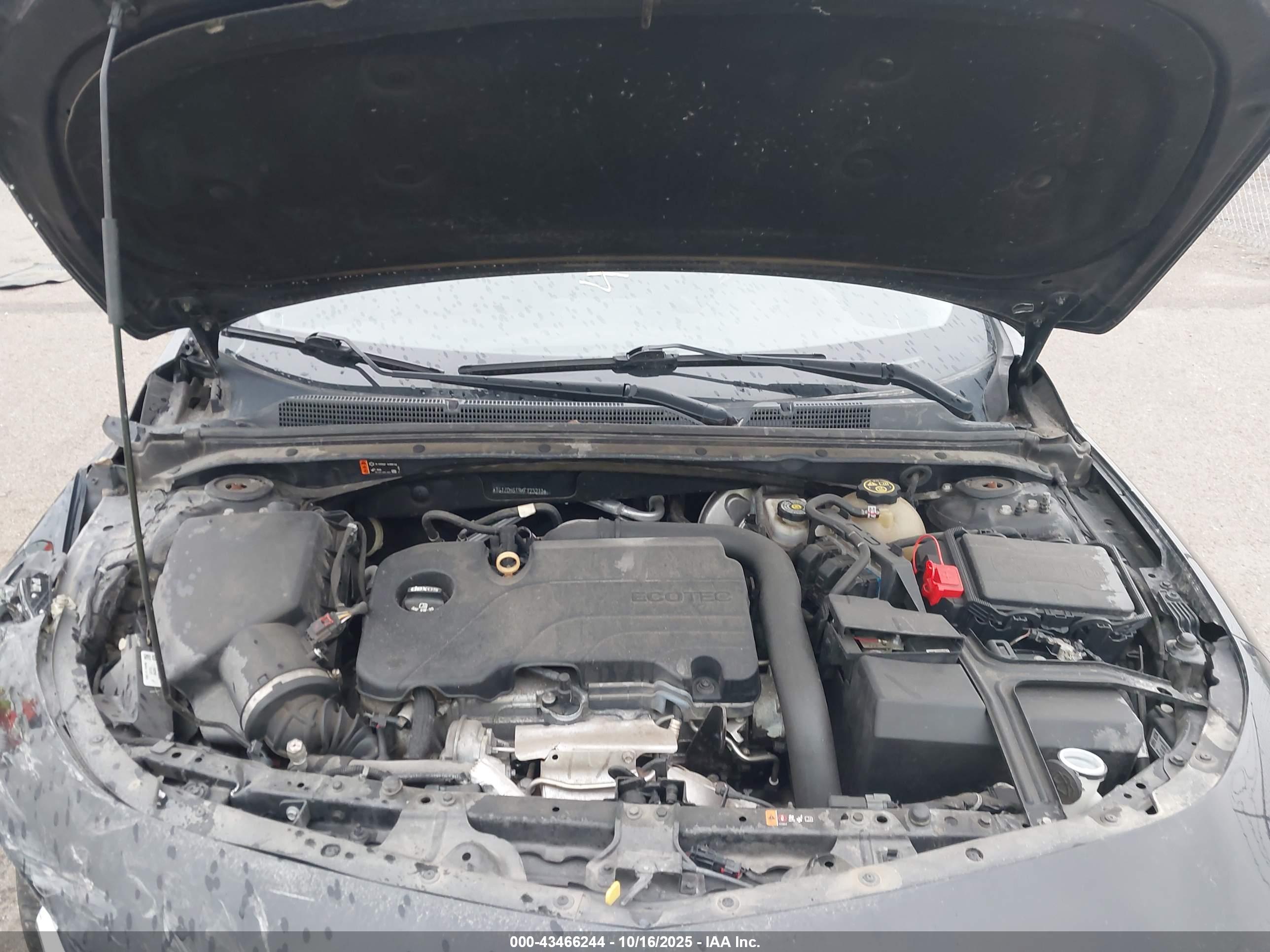 CHEVROLET MALIBU image 10
