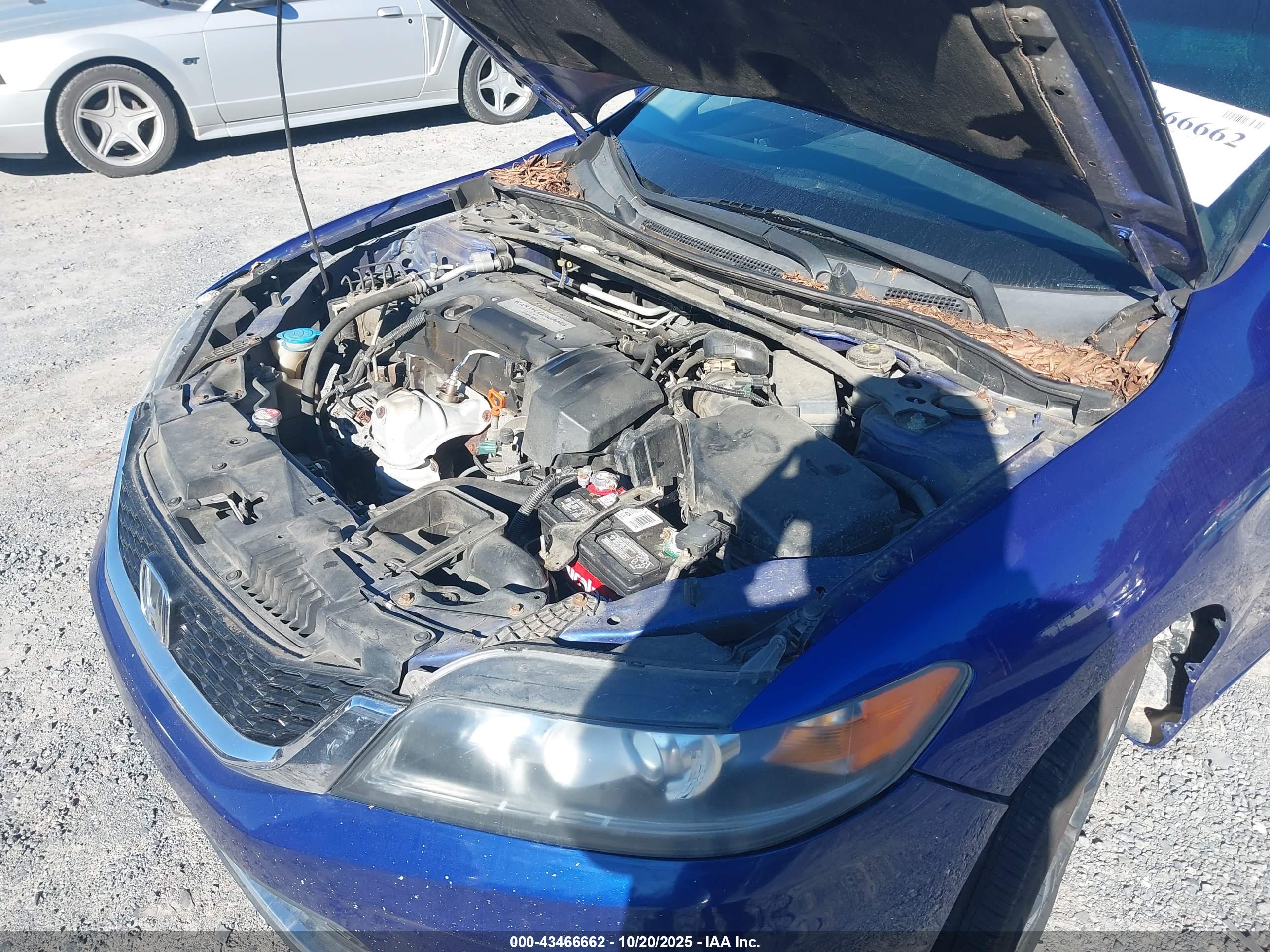 HONDA ACCORD image 10