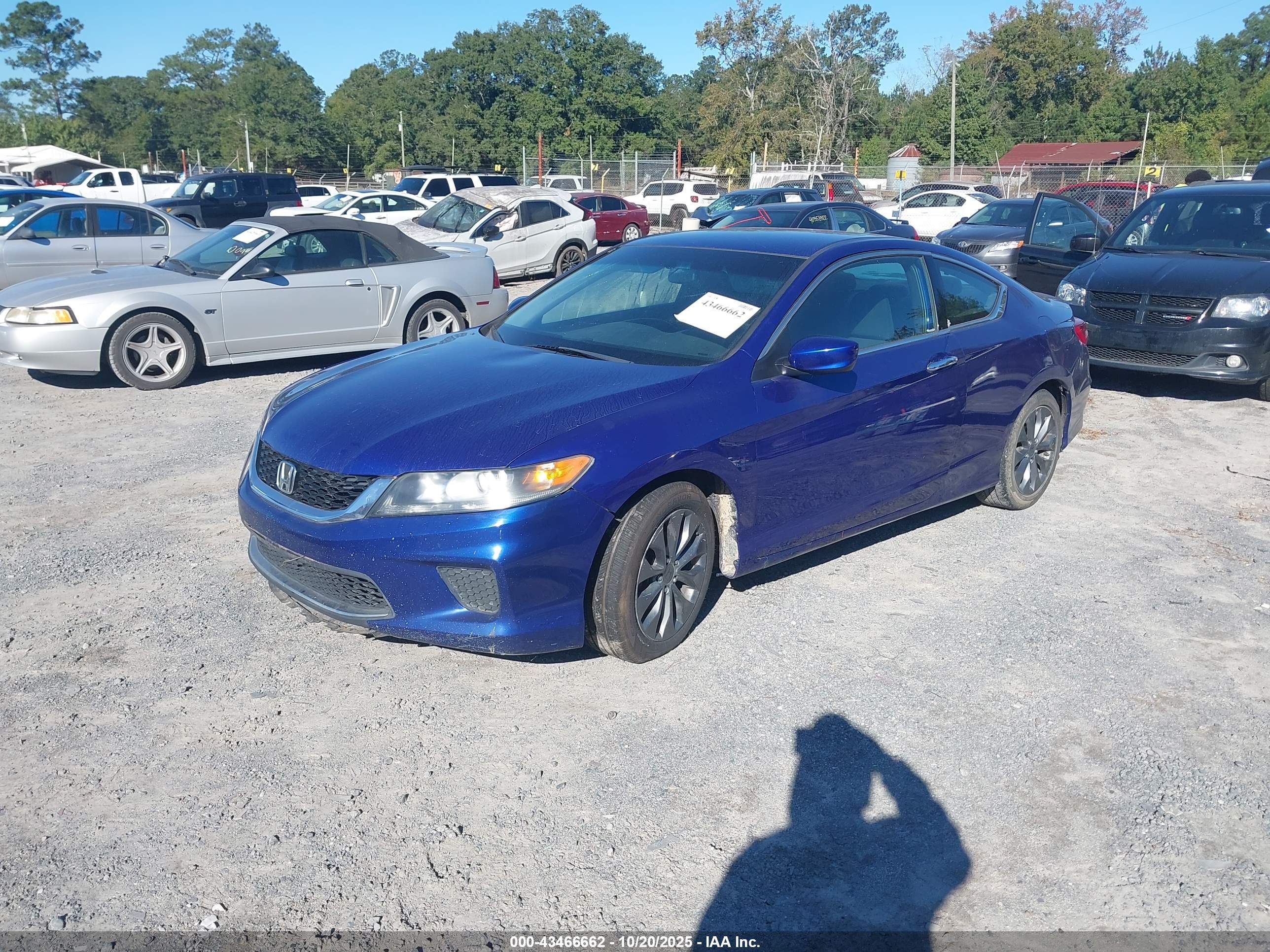 HONDA ACCORD image 2