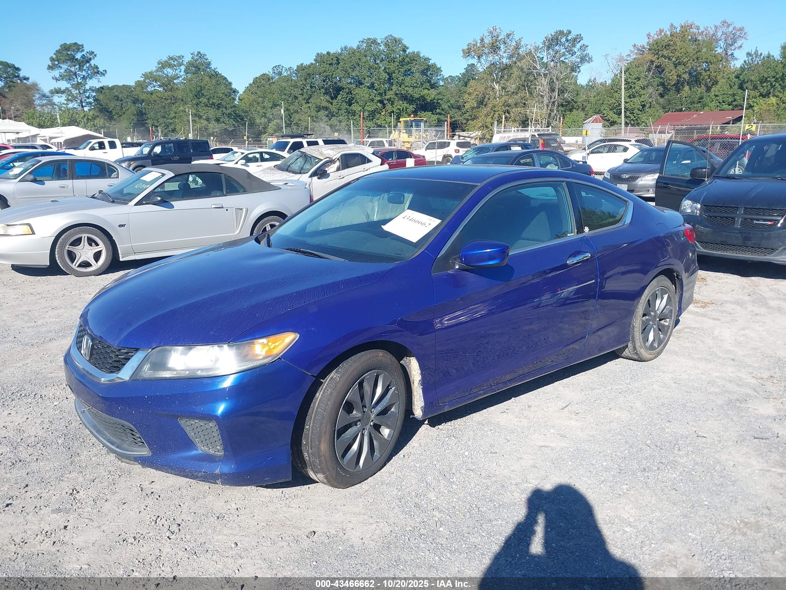 HONDA ACCORD image 6