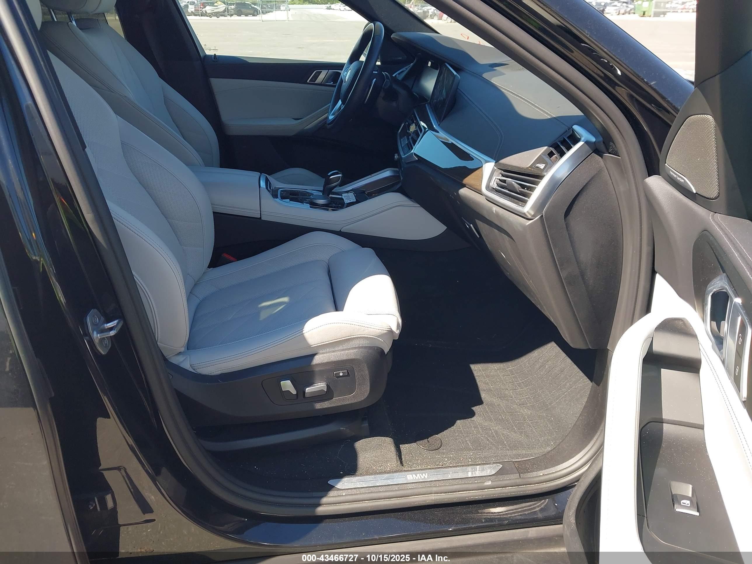 BMW X6 image 5