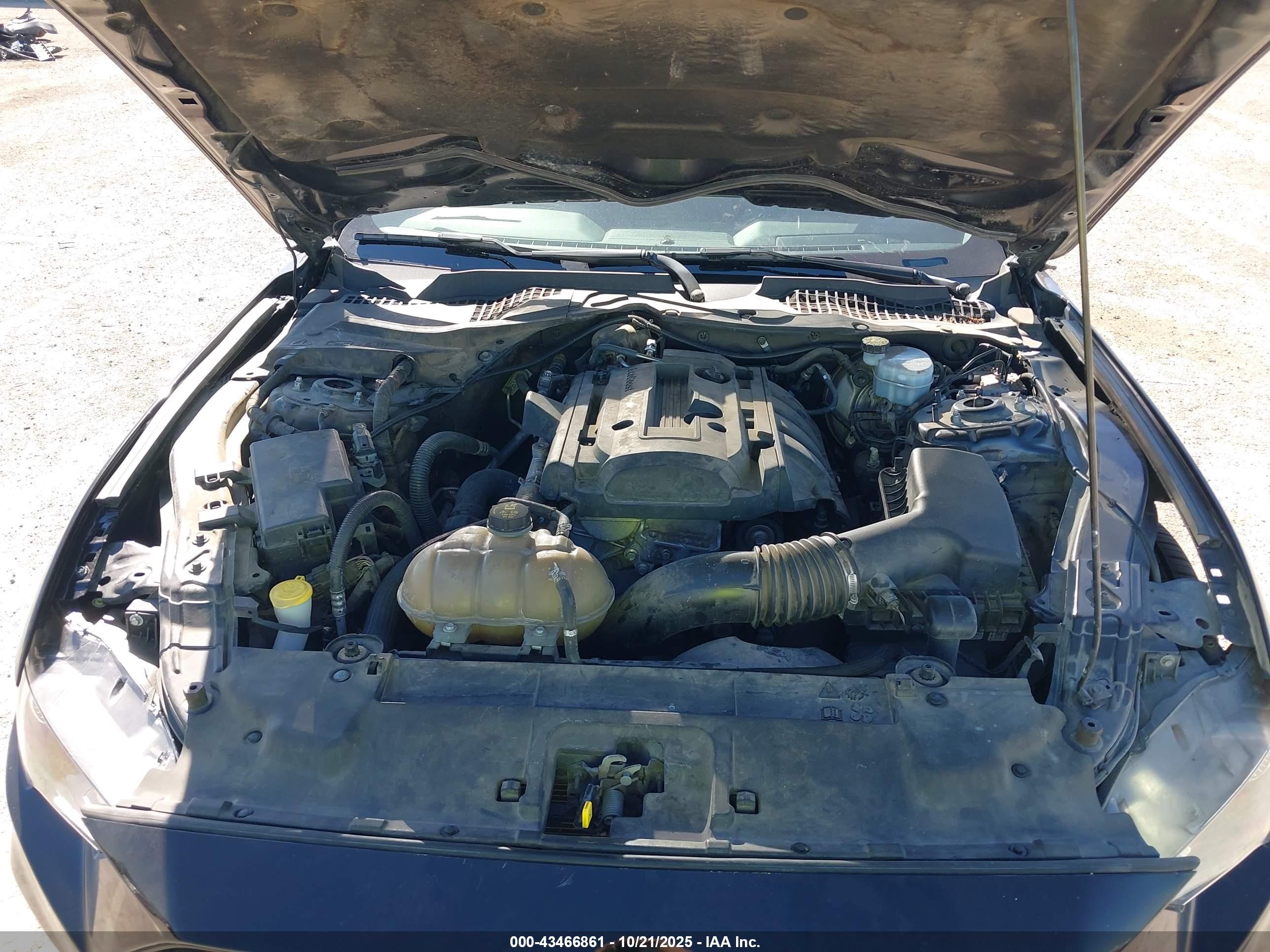 FORD MUSTANG image 10