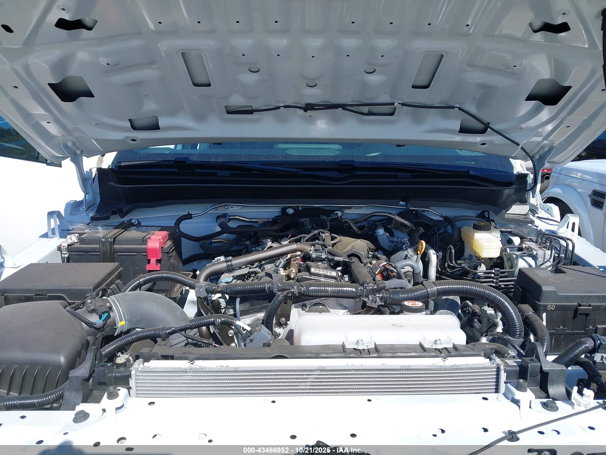 TOYOTA TACOMA image 10