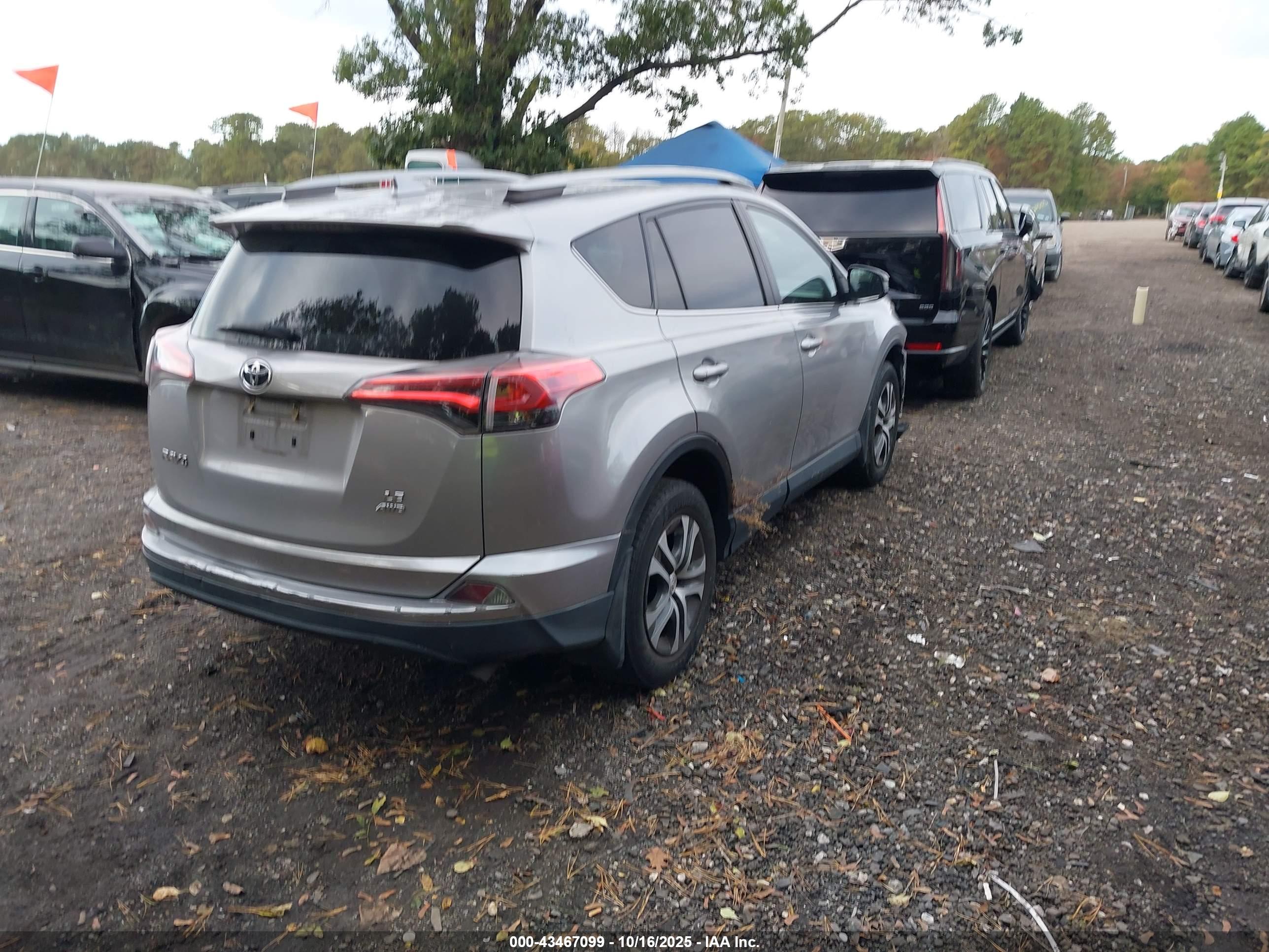 TOYOTA RAV4 image 4