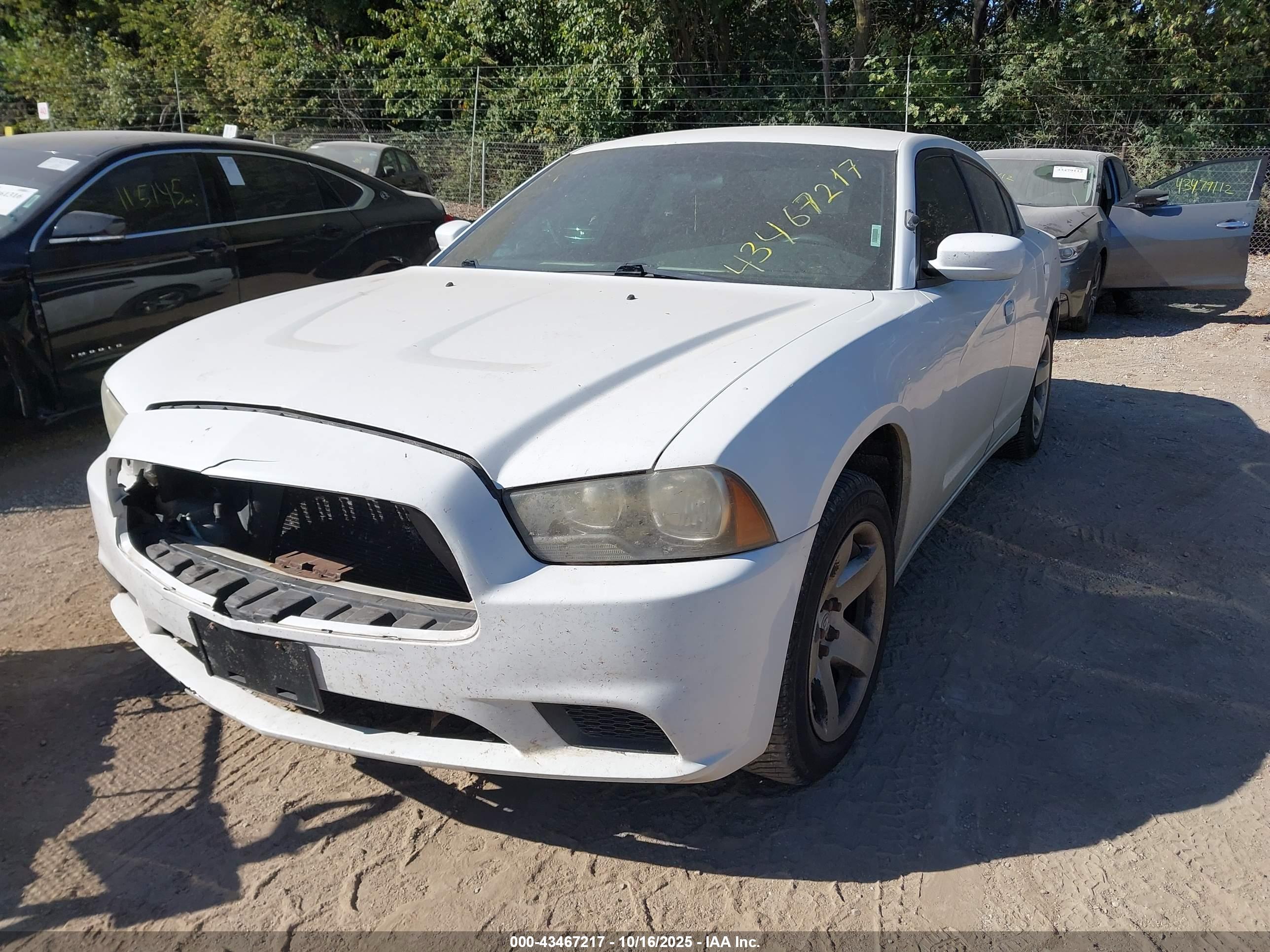 DODGE CHARGER image 2