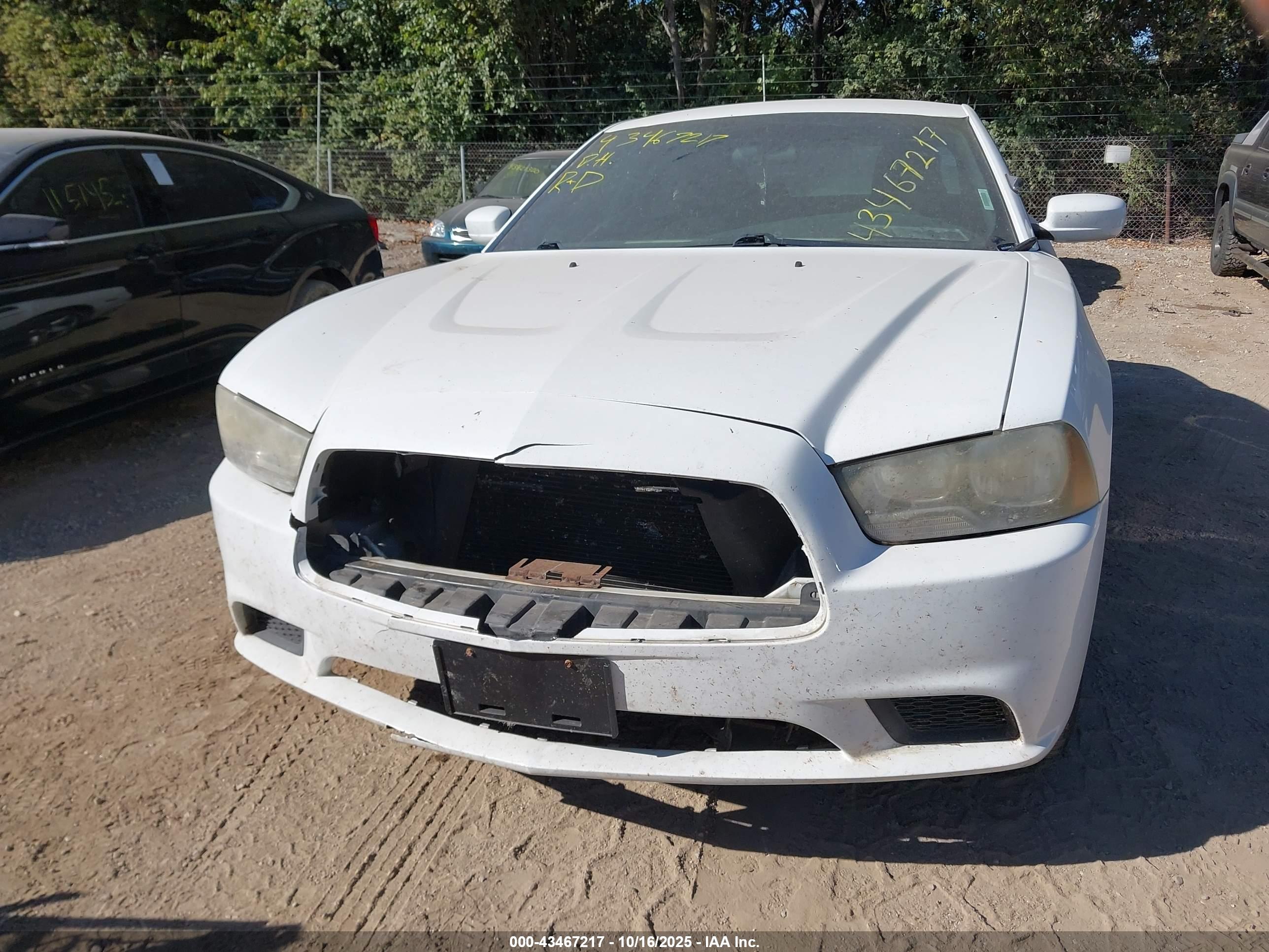 DODGE CHARGER image 6