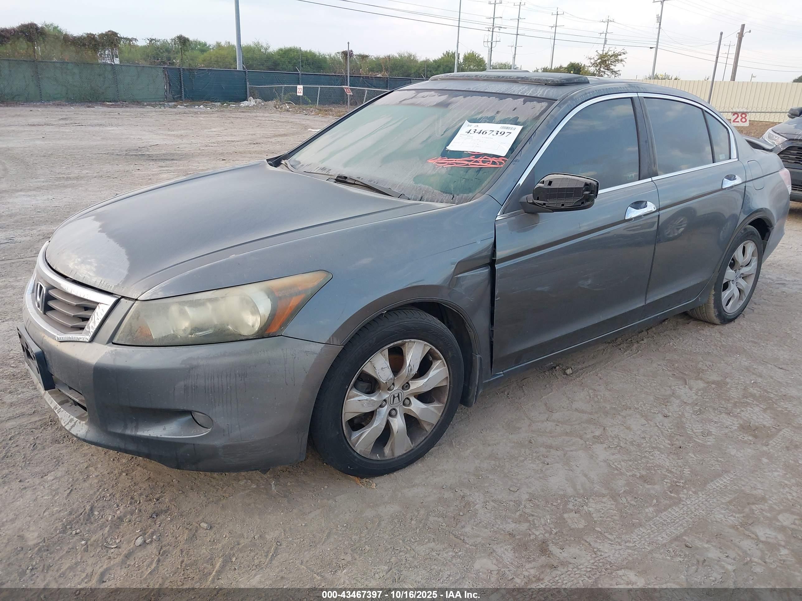 HONDA ACCORD image 2