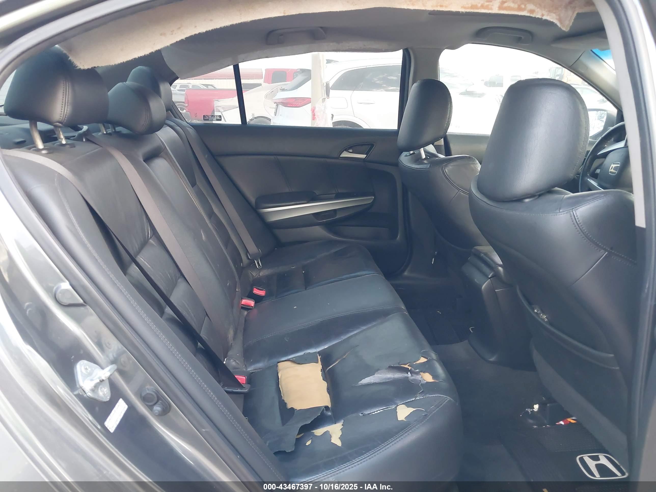 HONDA ACCORD image 8