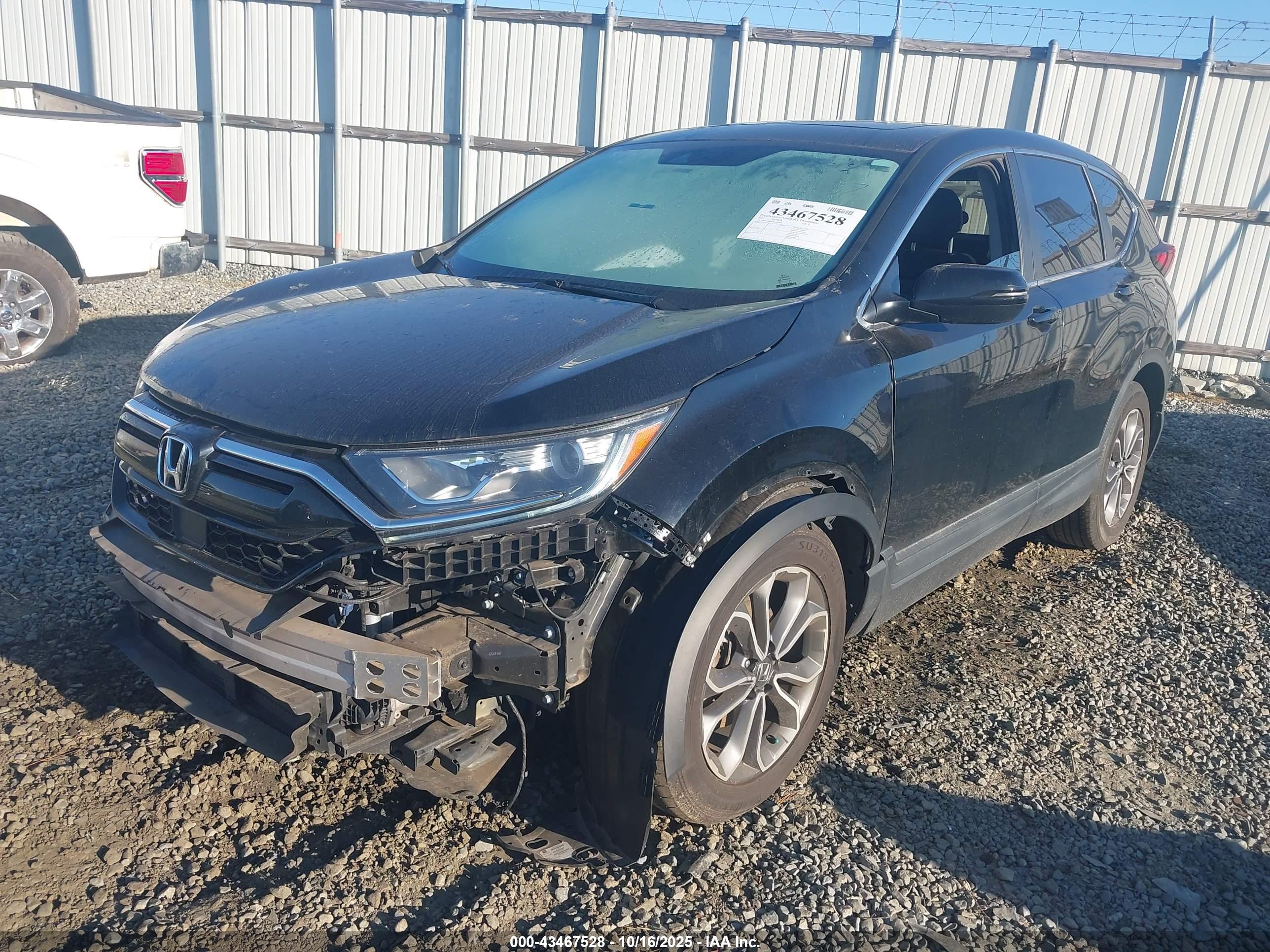 HONDA CR-V image 6