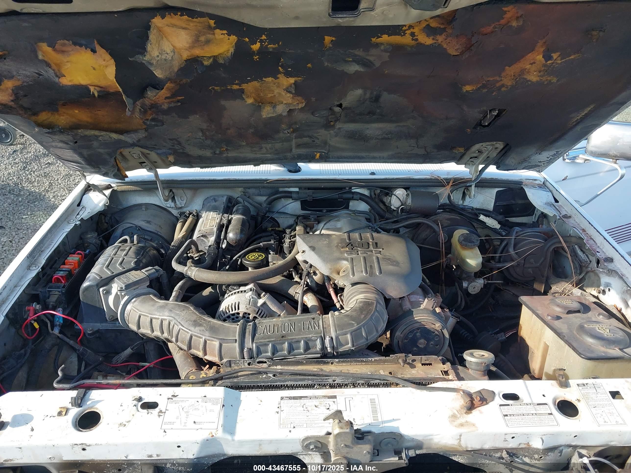 FORD RANGER image 10