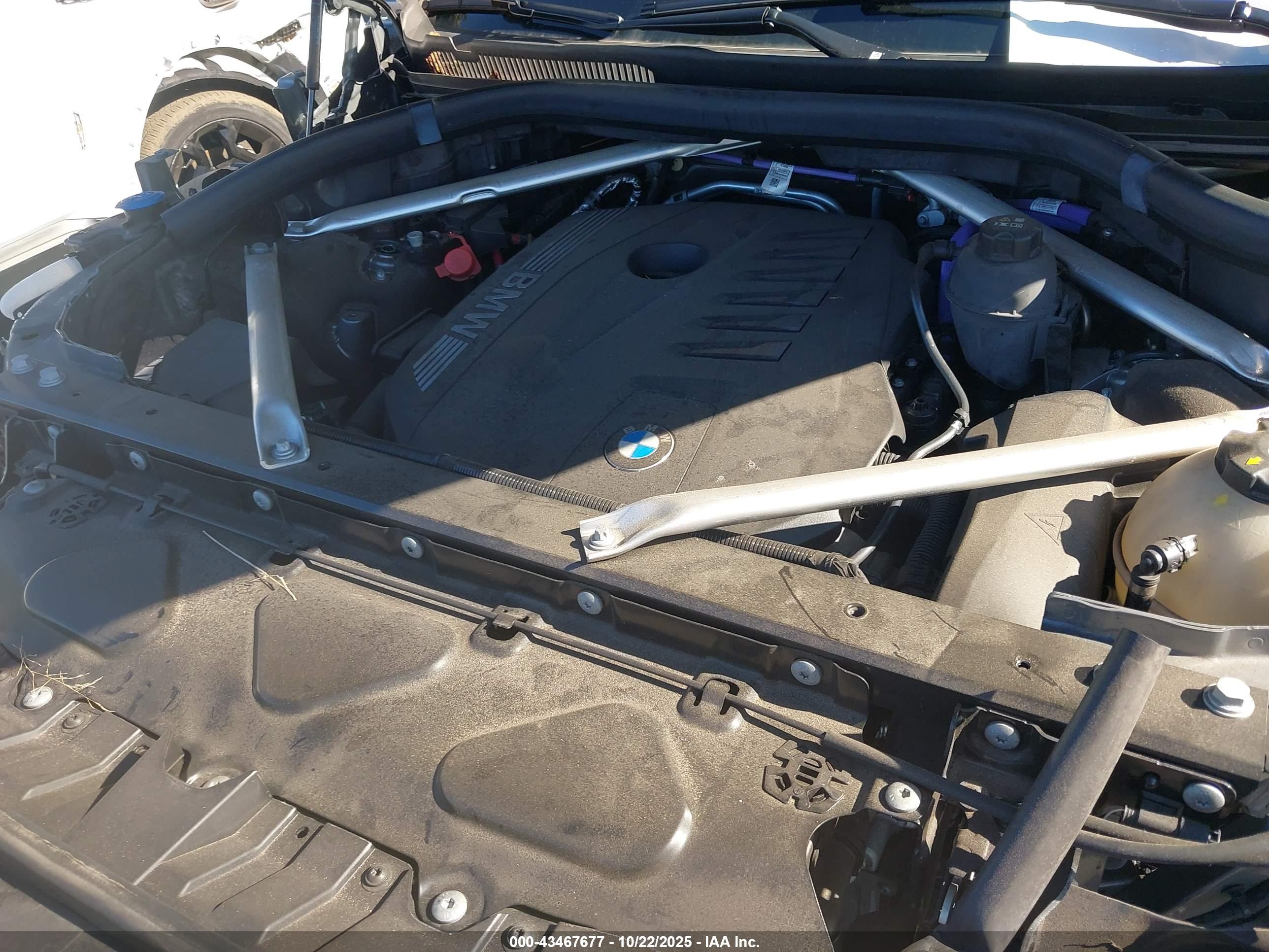 BMW X7 image 10