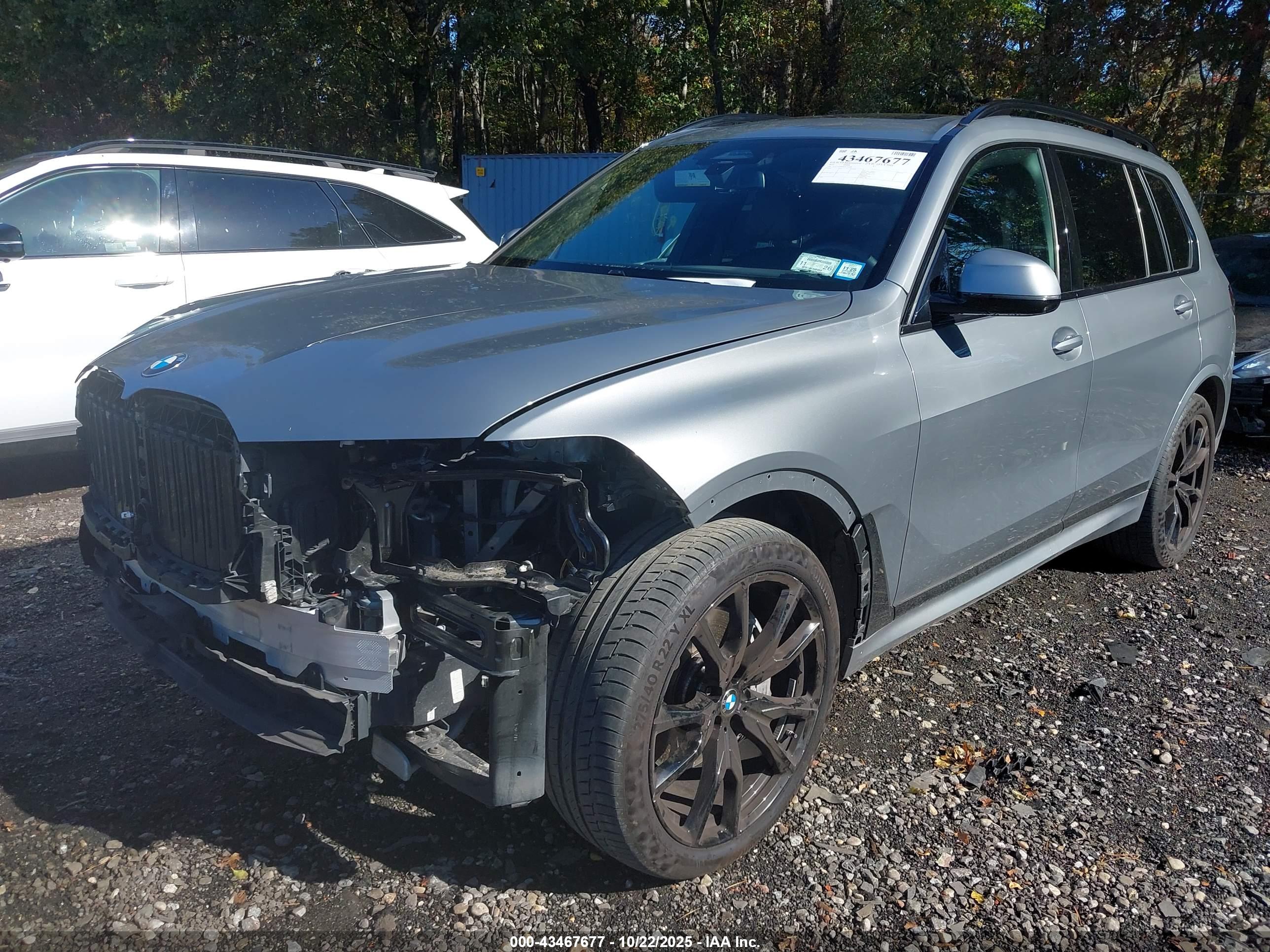 BMW X7 image 6