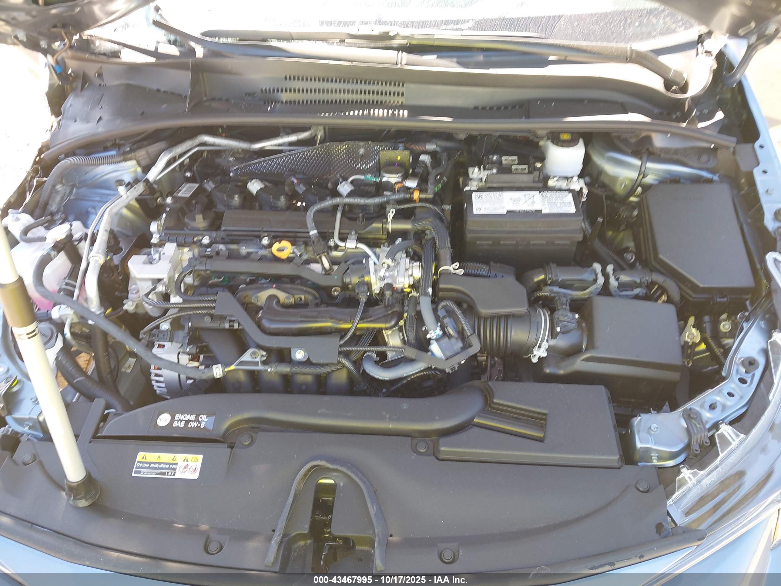 TOYOTA COROLLA image 10