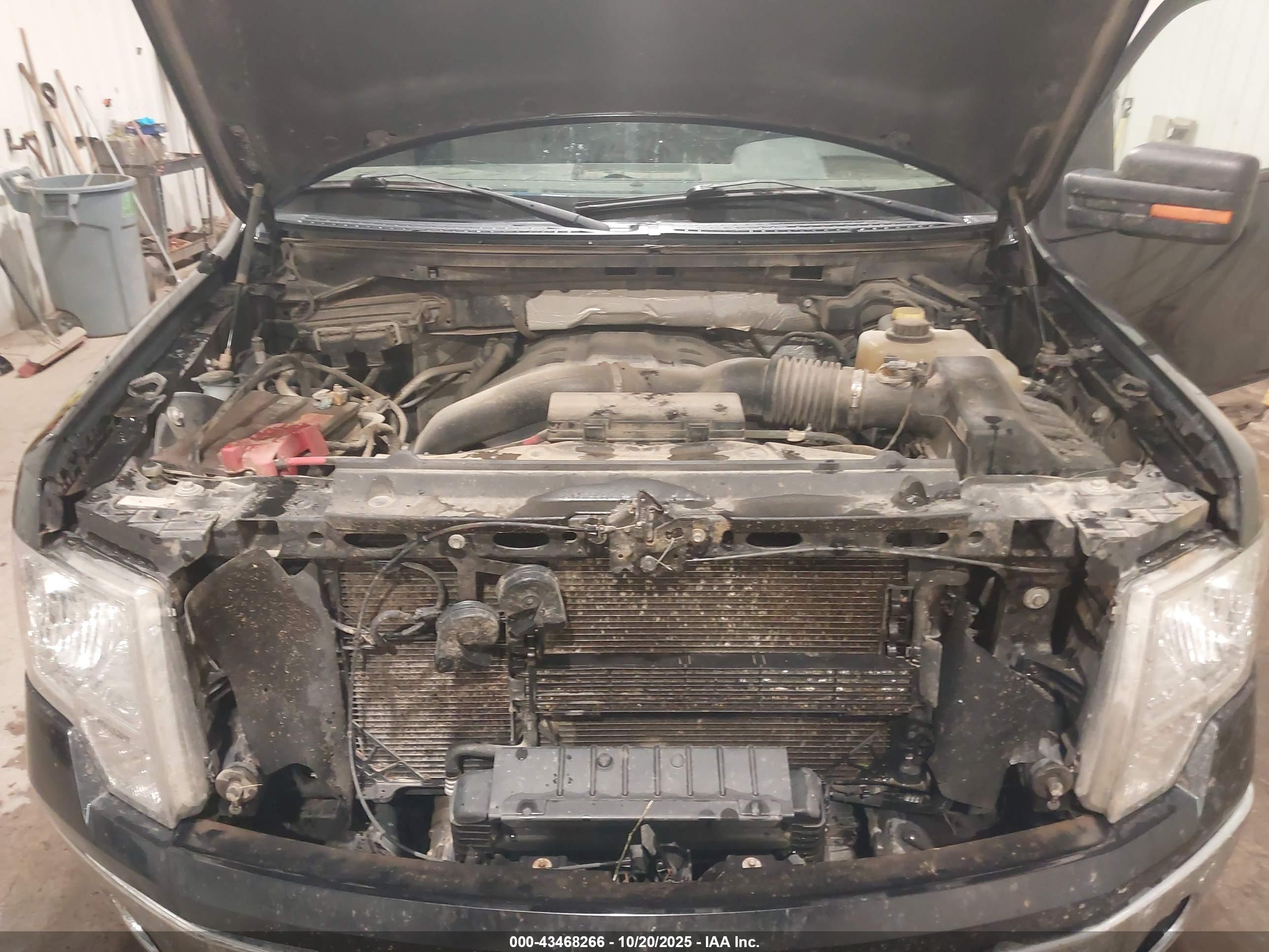 FORD F-150 image 10