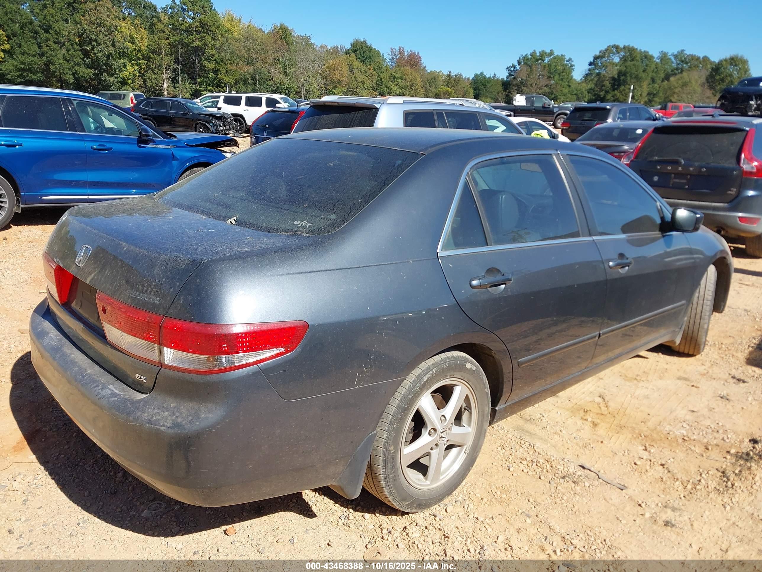 HONDA ACCORD image 4