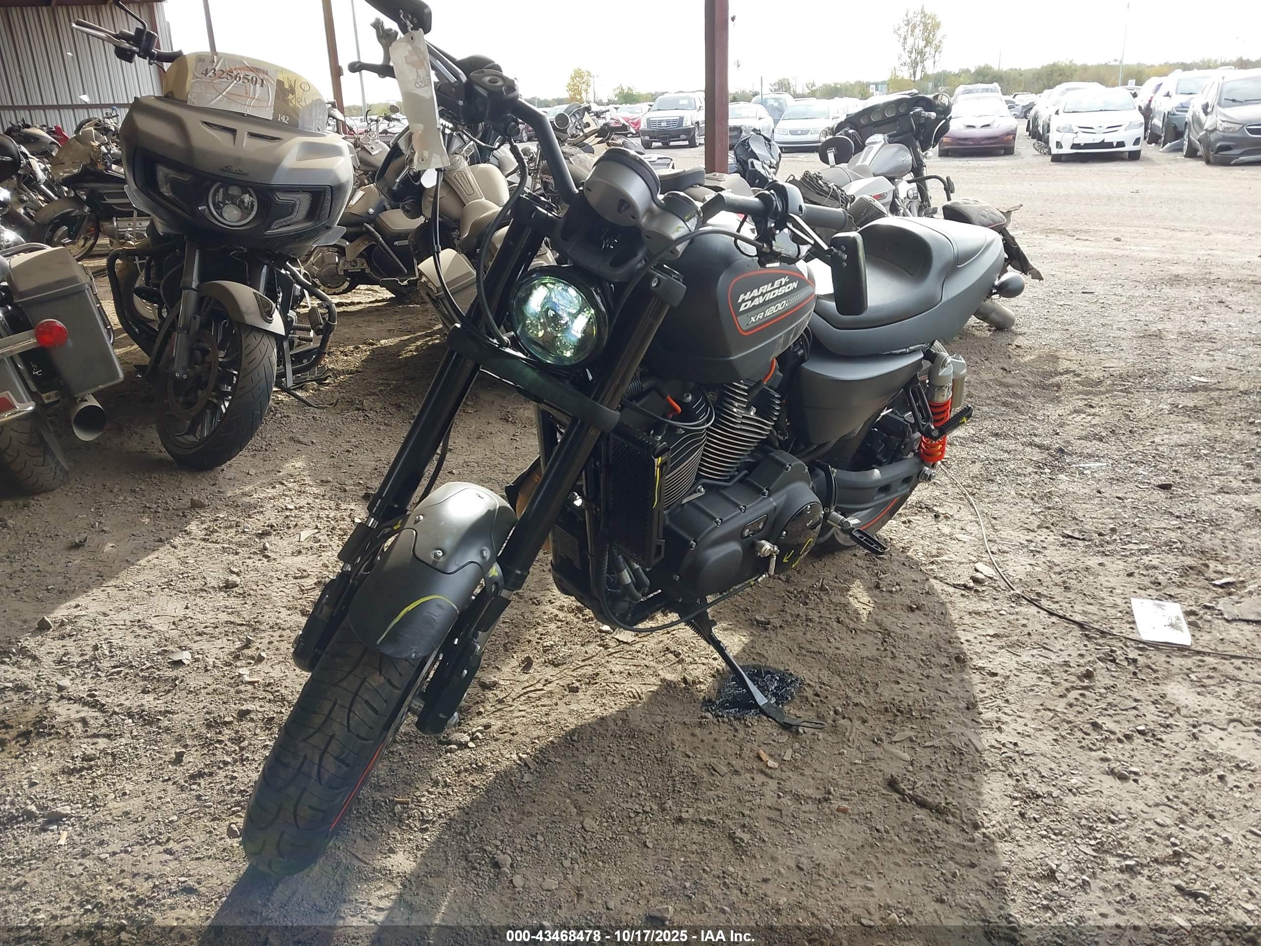 HARLEY-DAVIDSON XR1200 image 2