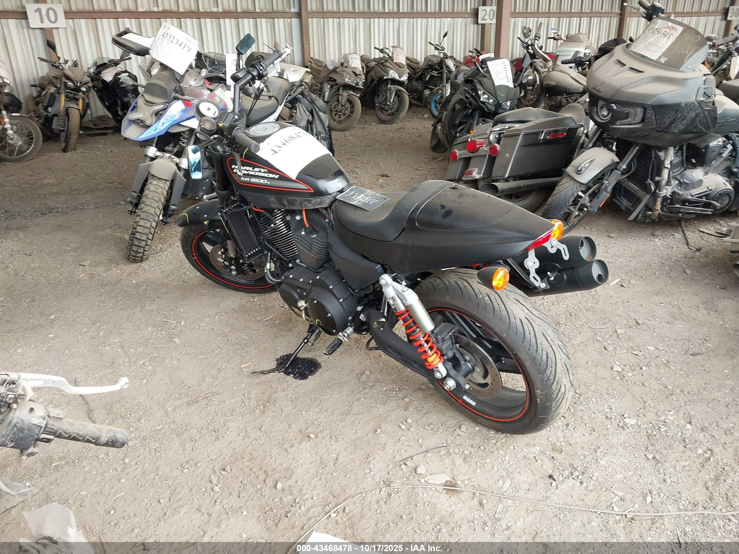 HARLEY-DAVIDSON XR1200 image 3