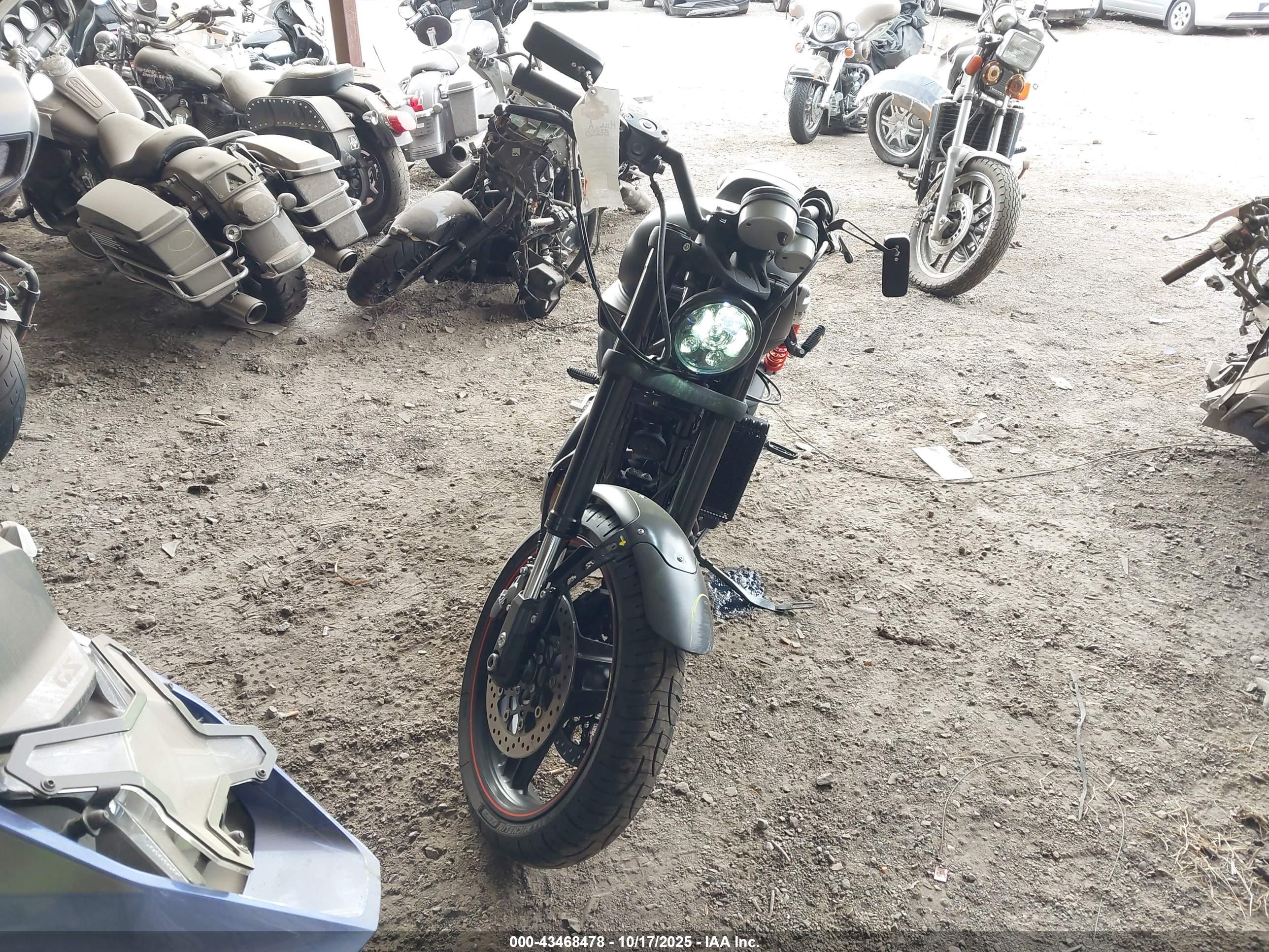 HARLEY-DAVIDSON XR1200 image 5