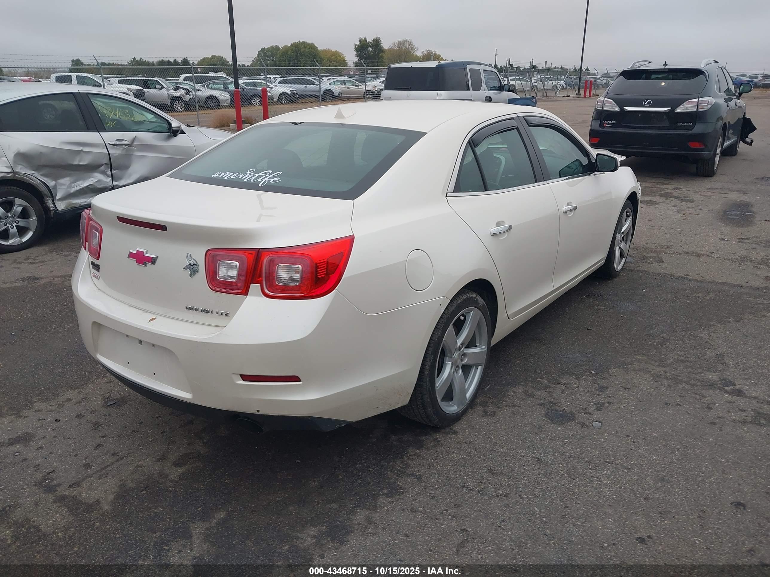CHEVROLET MALIBU image 4