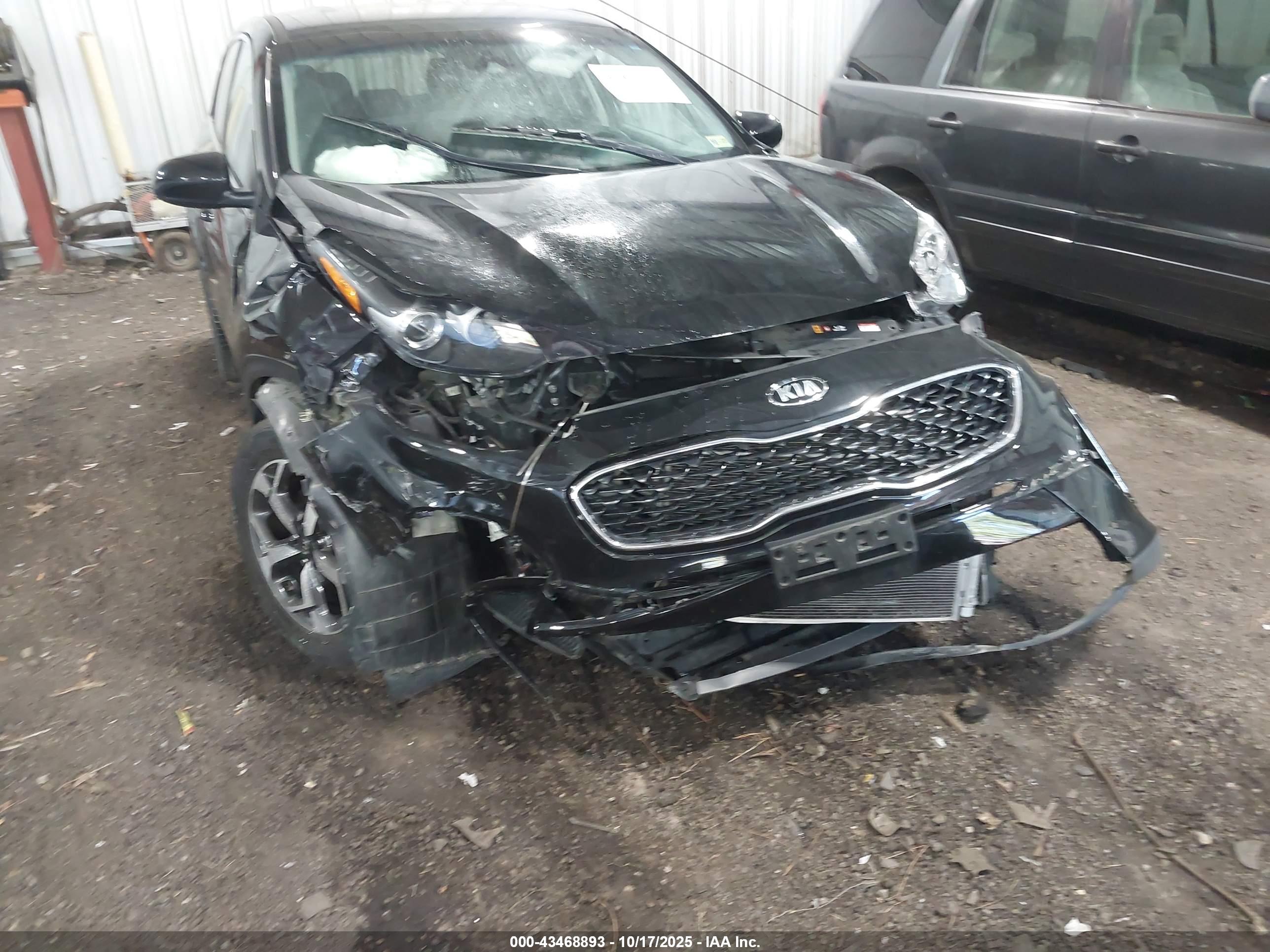 KIA SPORTAGE image 6