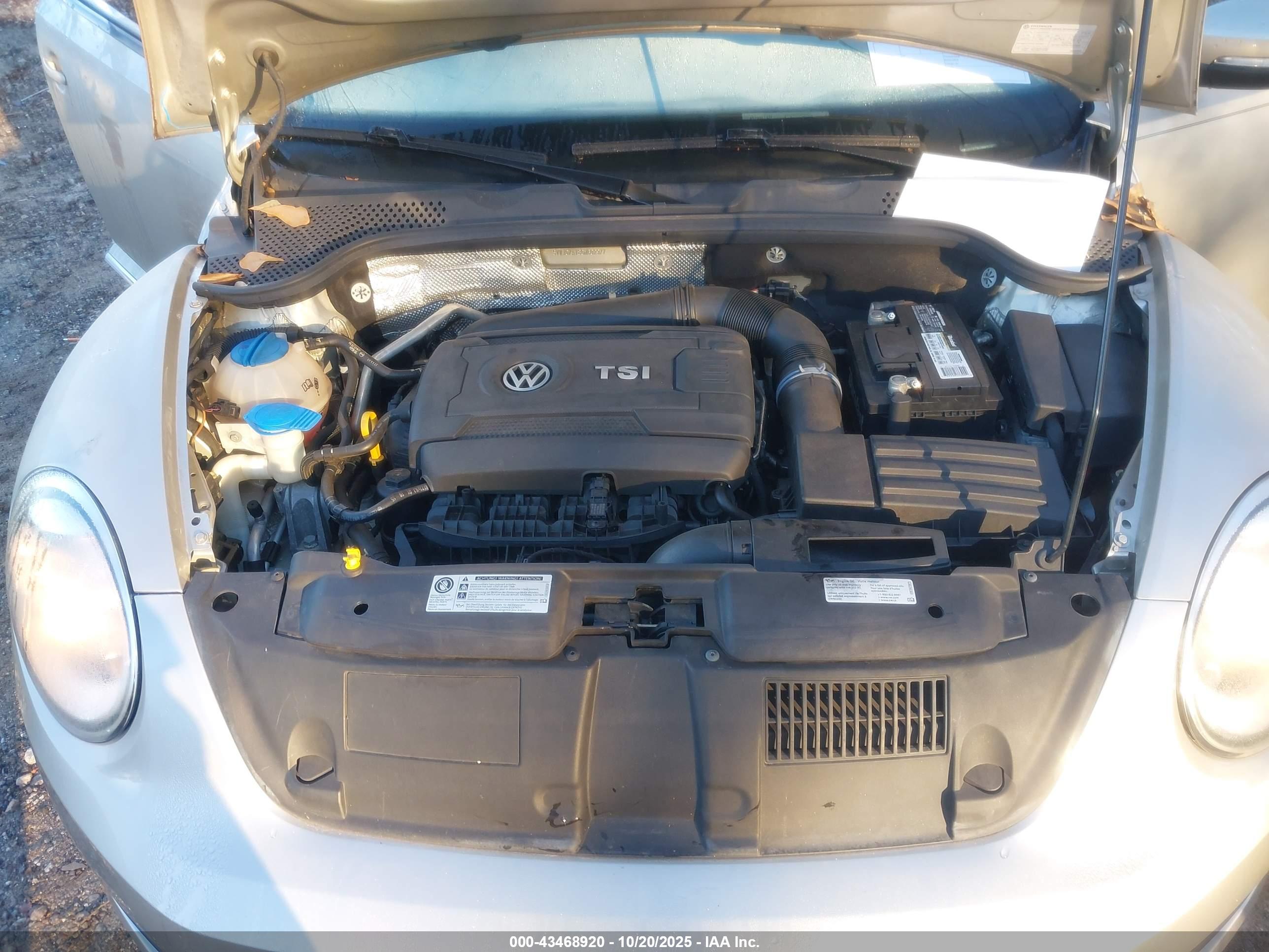 VOLKSWAGEN BEETLE image 10