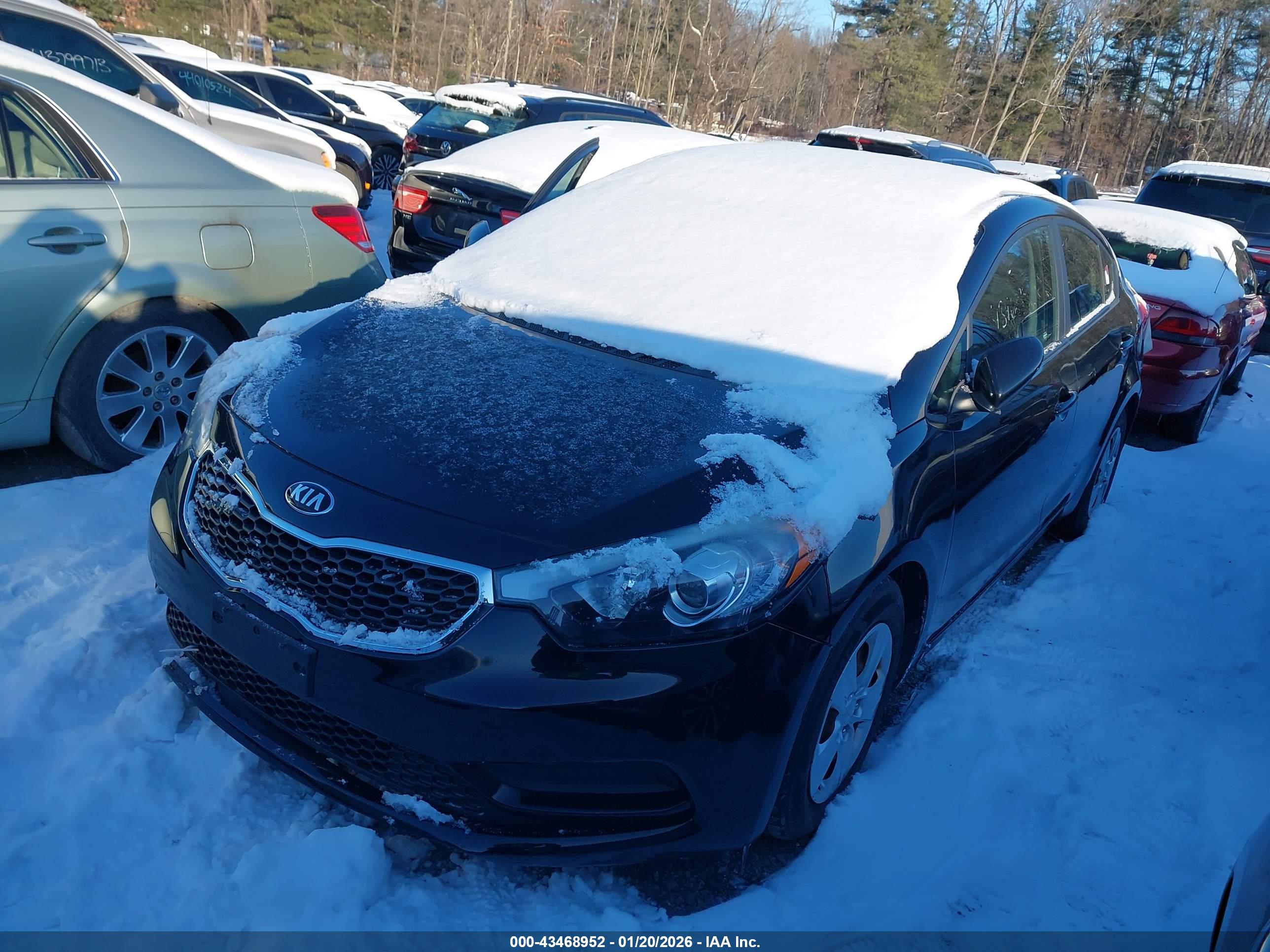 KIA FORTE image 2