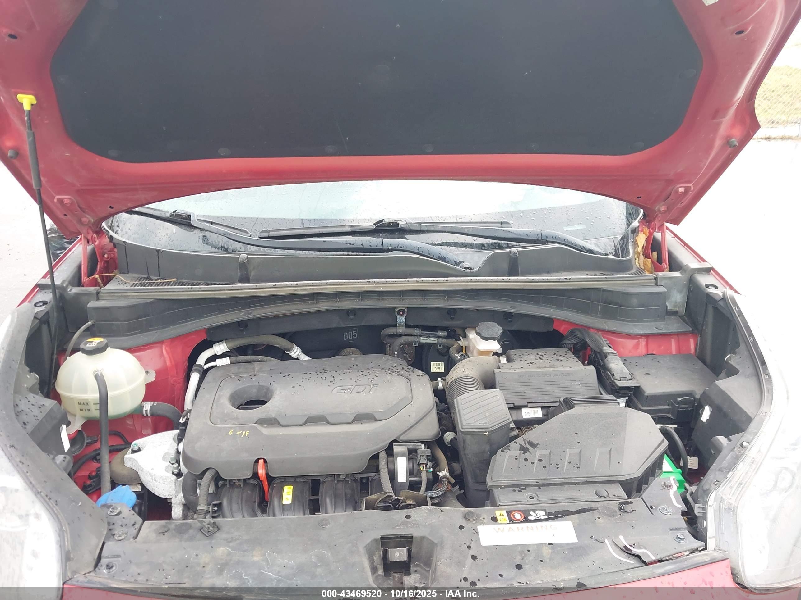 KIA SPORTAGE image 10