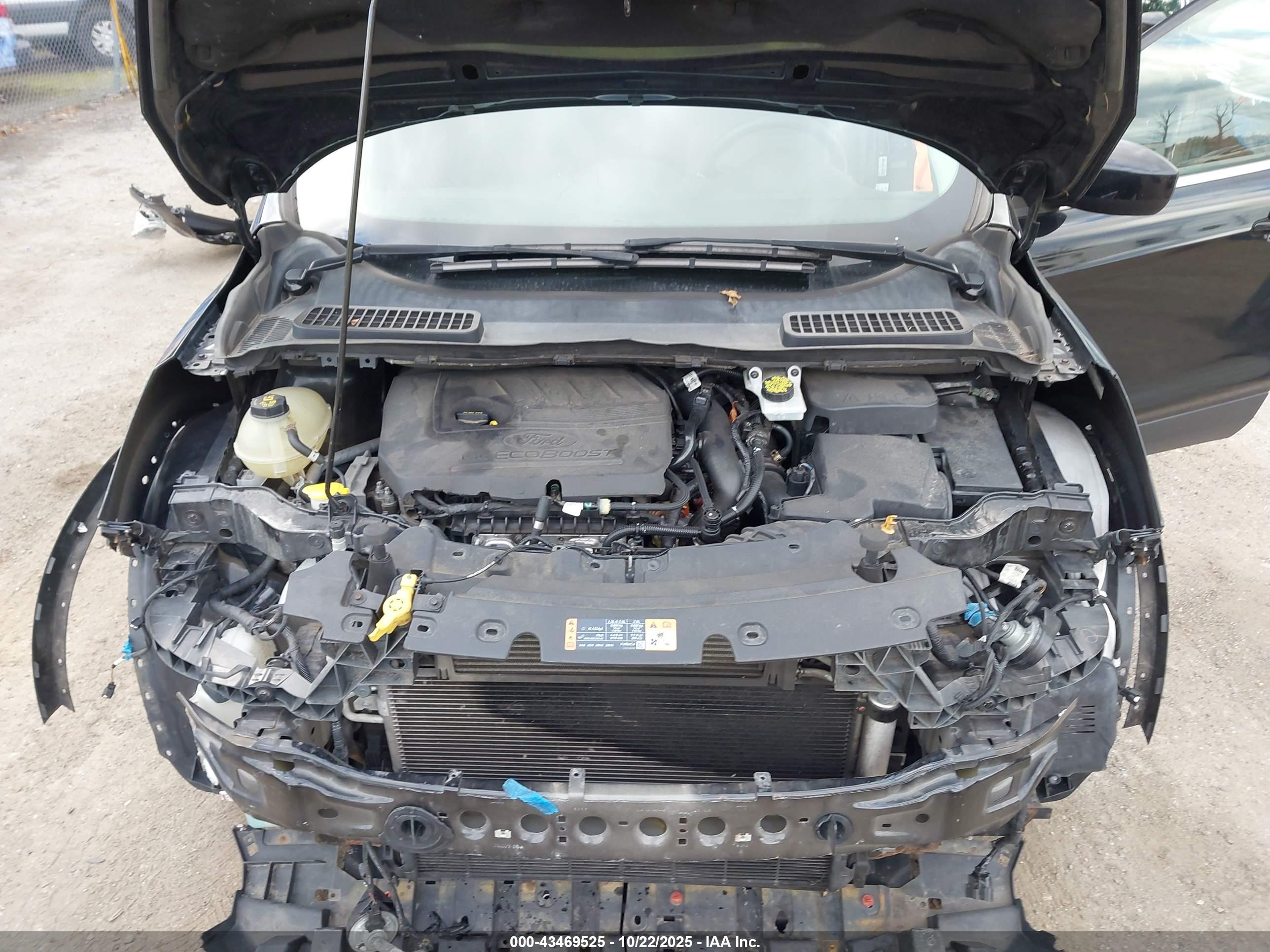 FORD ESCAPE image 10