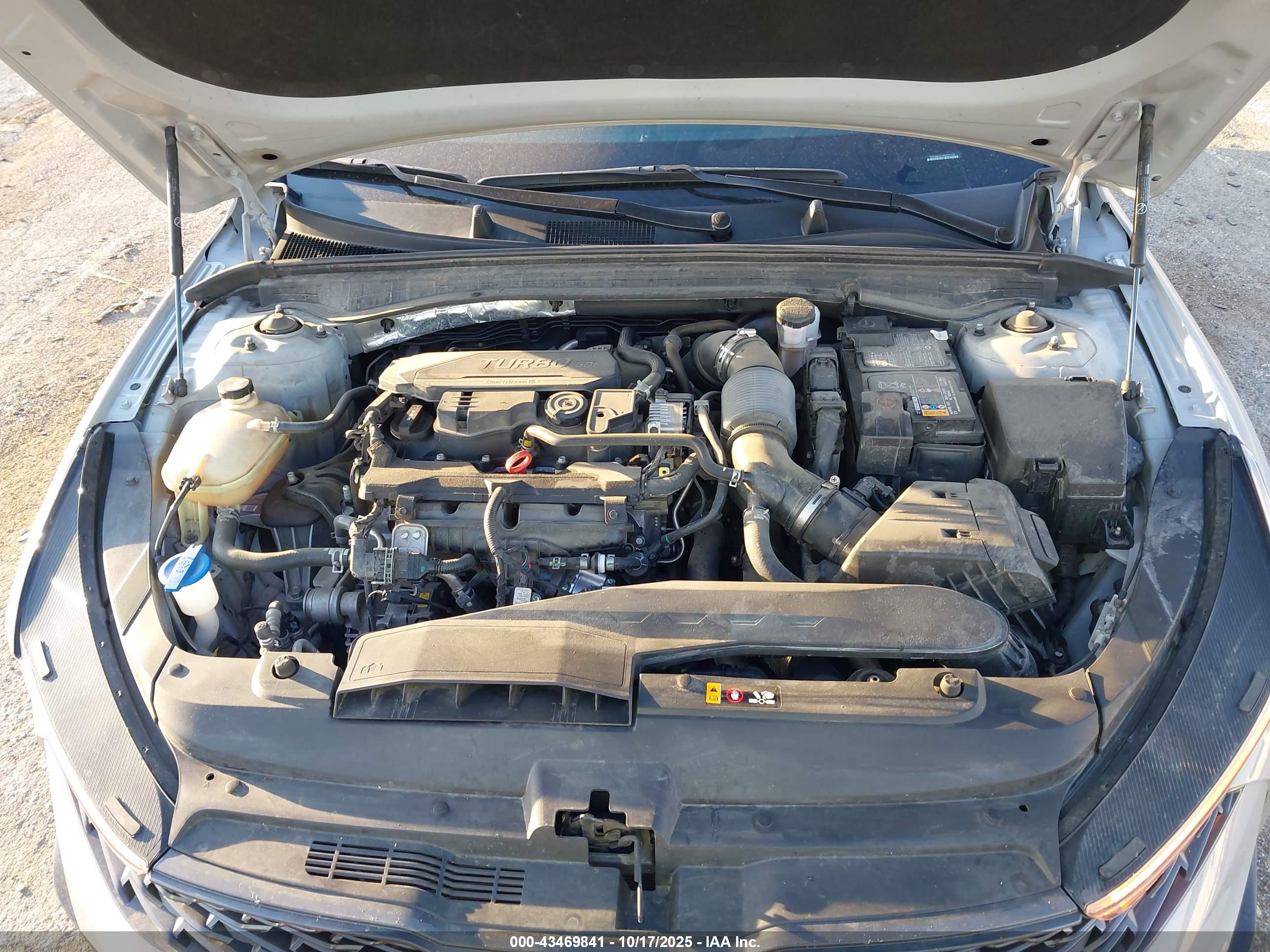 KIA K5 image 10