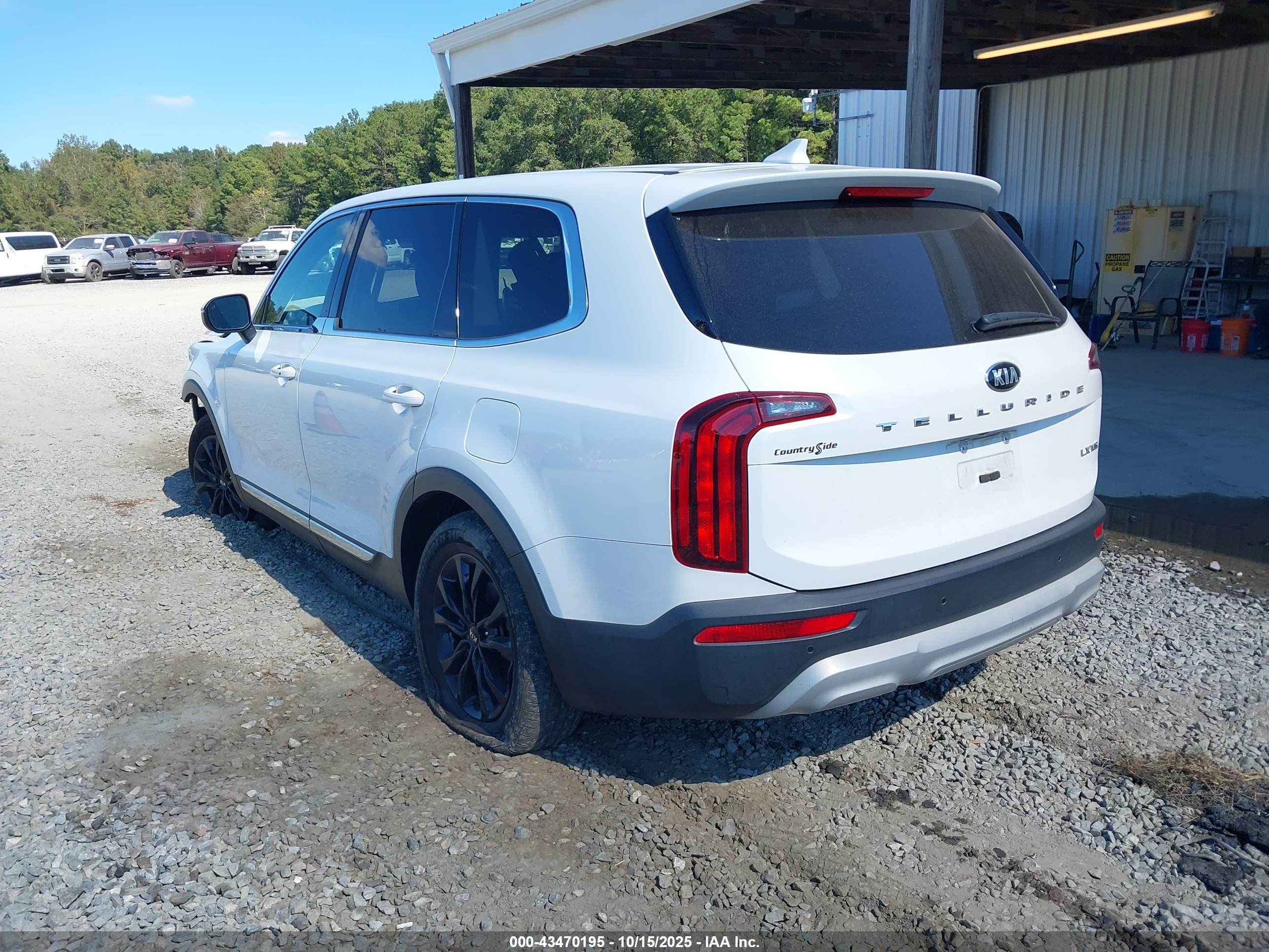KIA TELLURIDE image 3