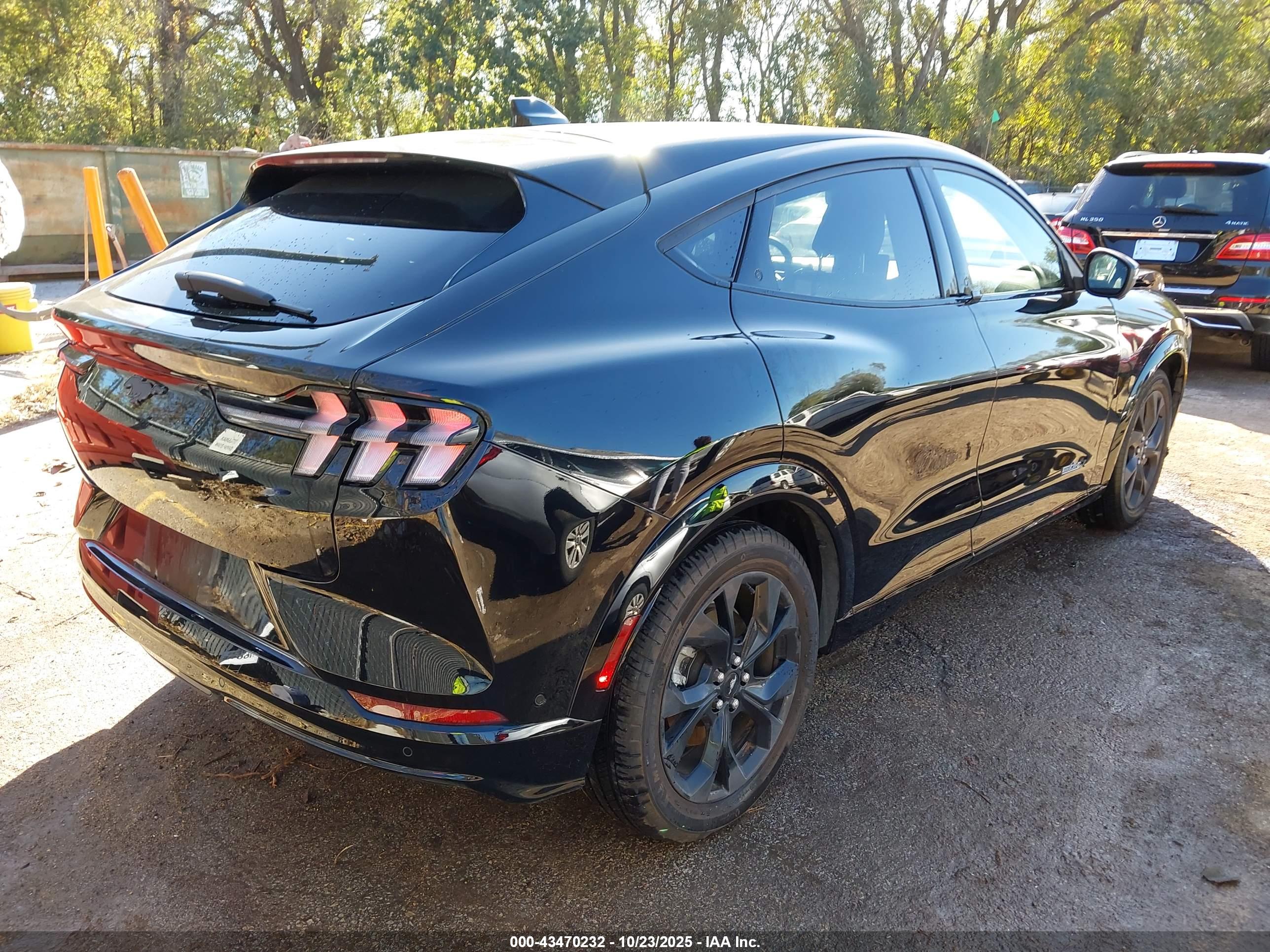 FORD MUSTANG image 4