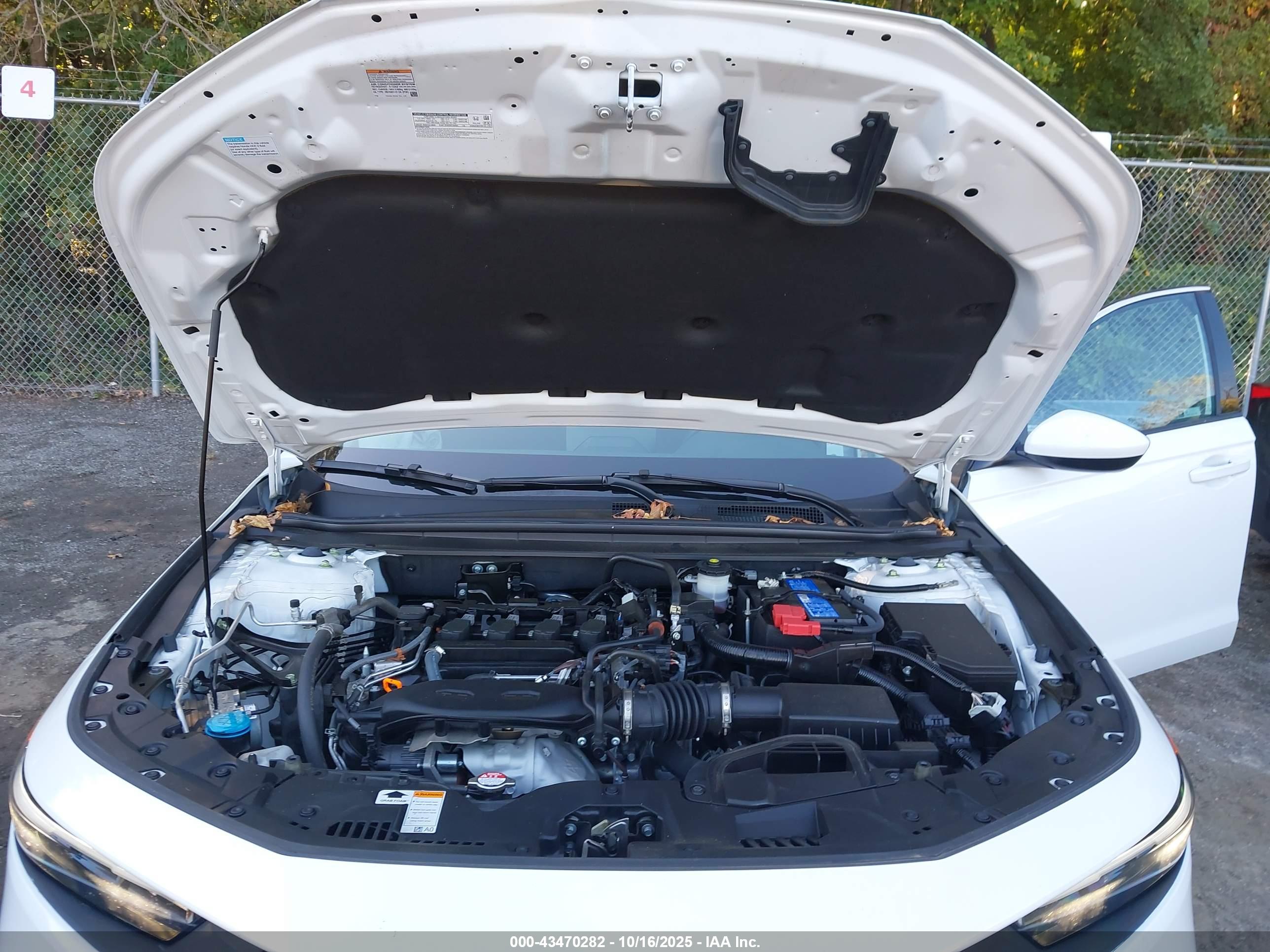 HONDA ACCORD image 10