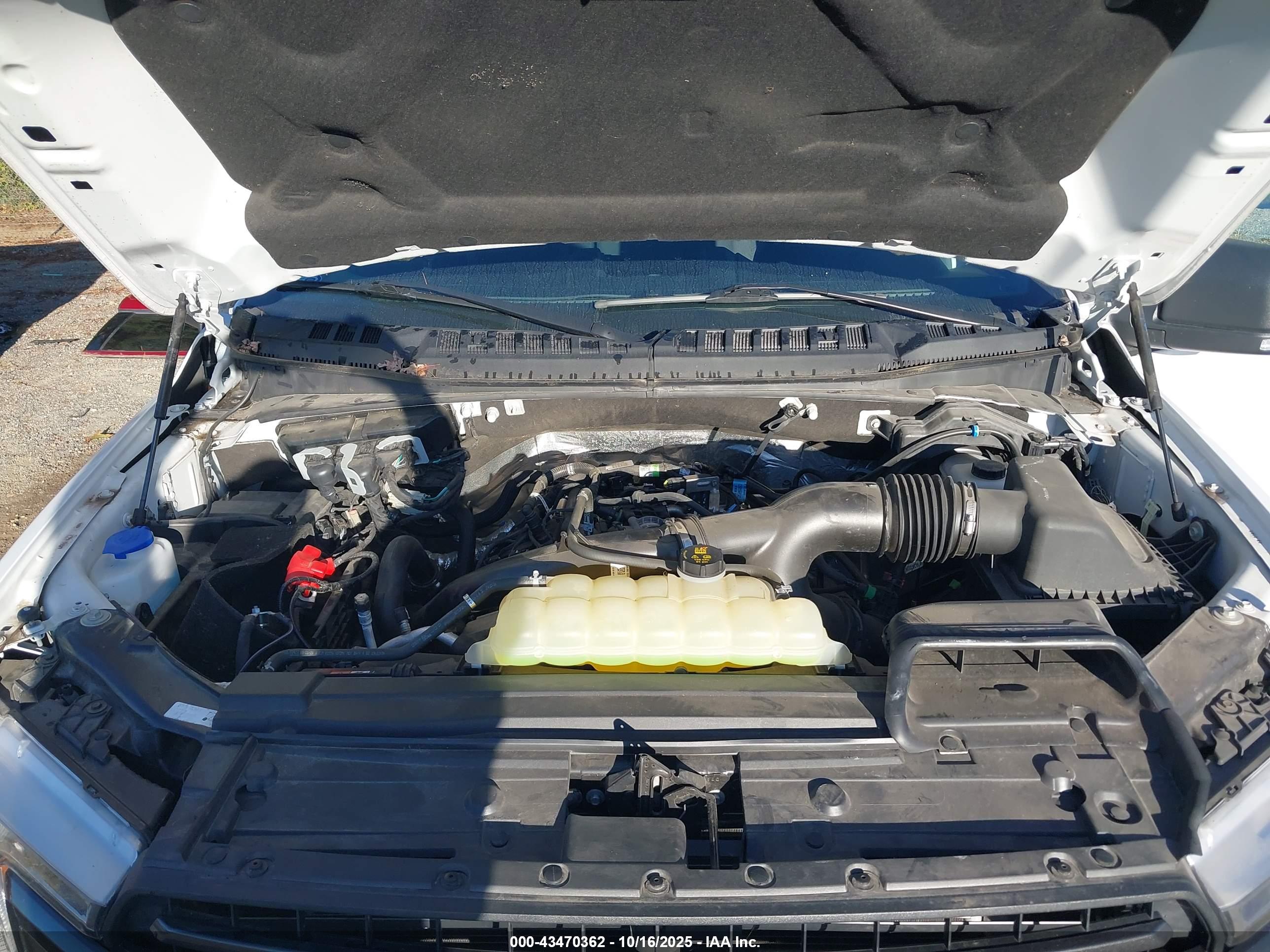 FORD F-150 image 10