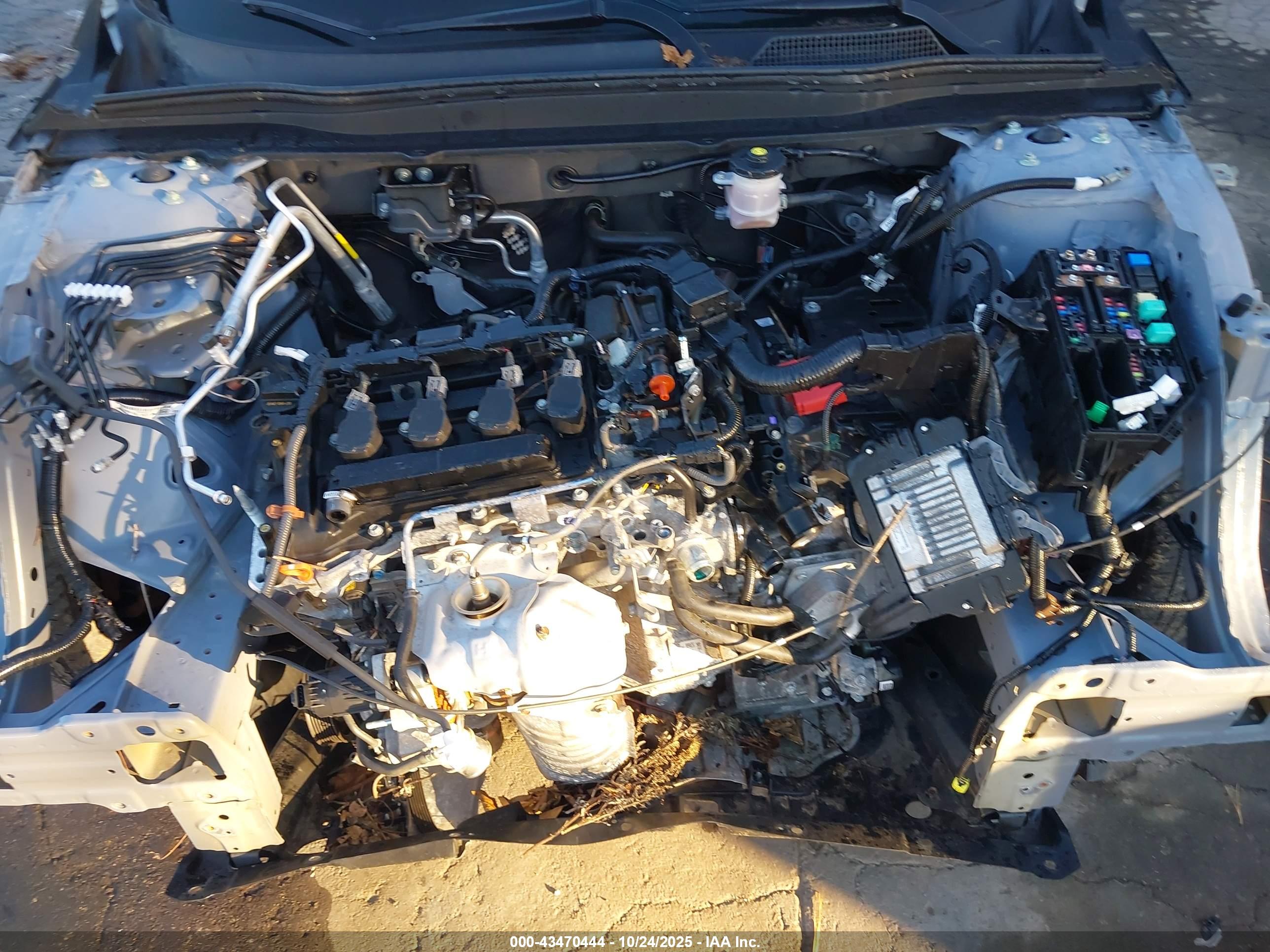 HONDA ACCORD image 10