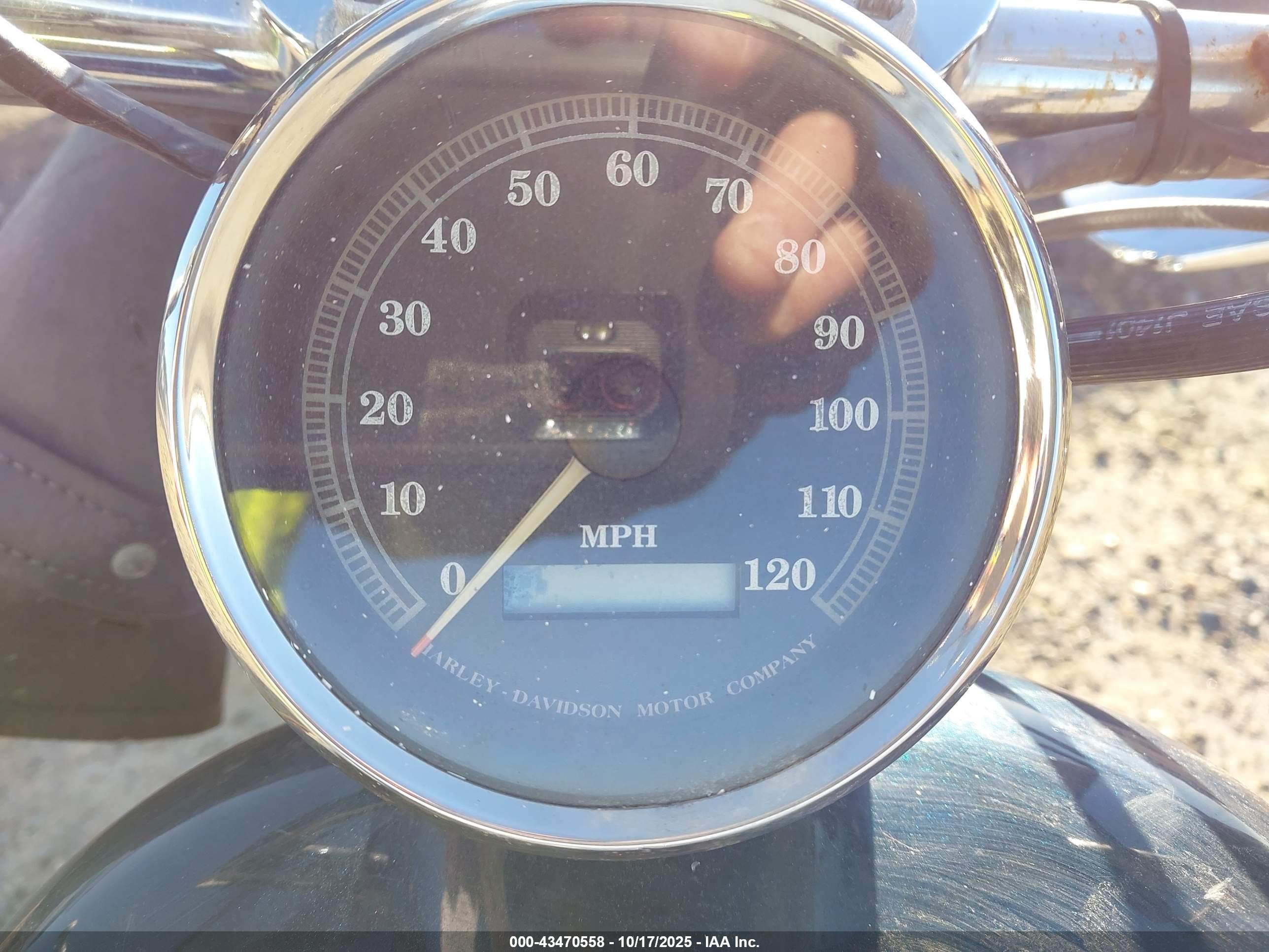 HARLEY-DAVIDSON XL1200 image 7