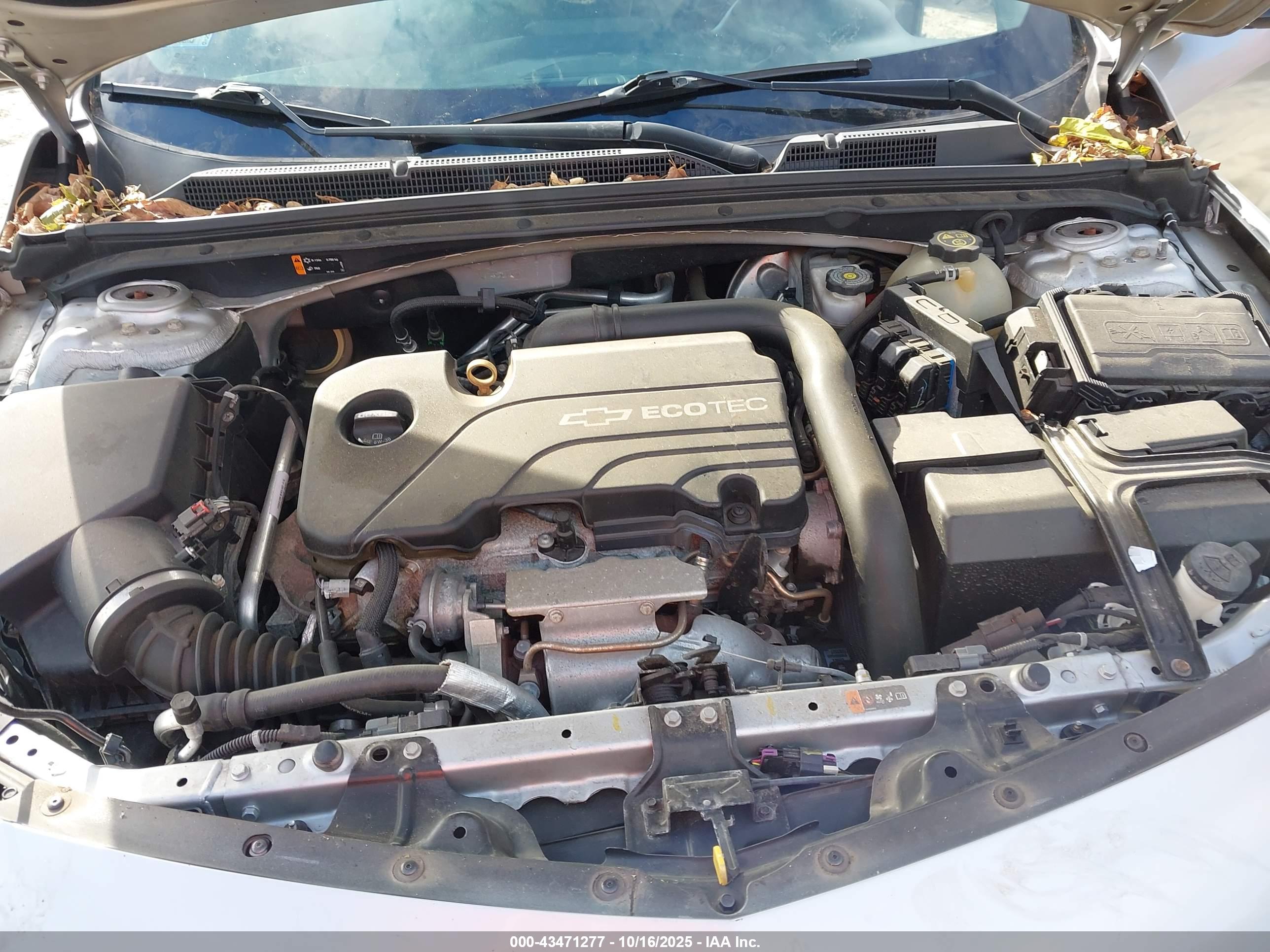 CHEVROLET MALIBU image 10