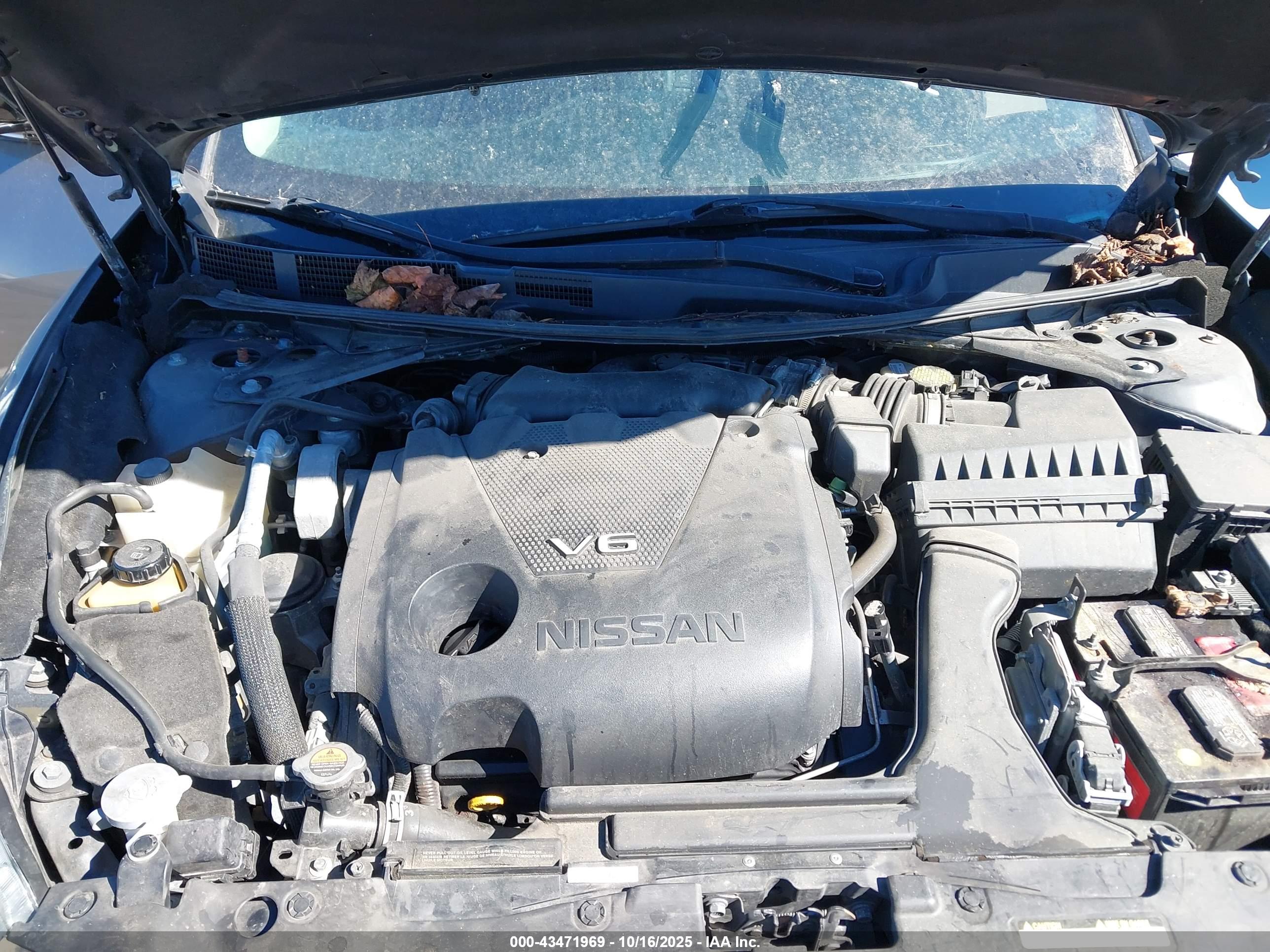 NISSAN MAXIMA image 10