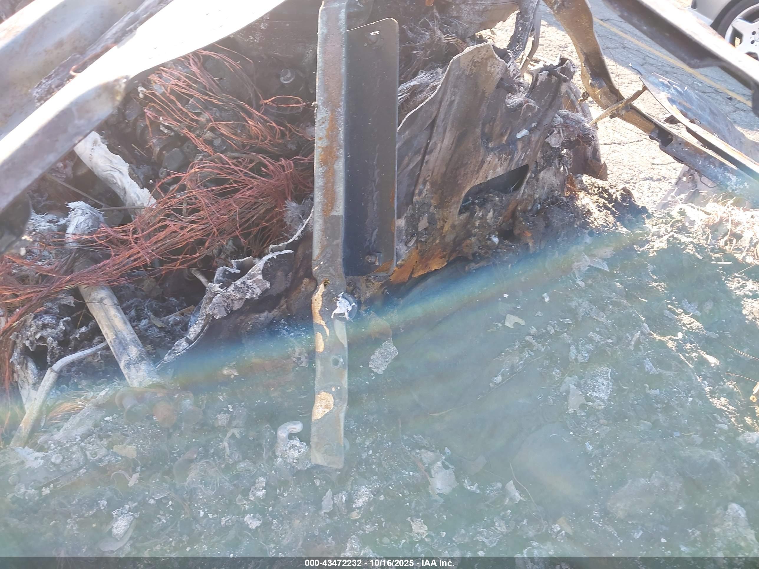LAND ROVER image 7