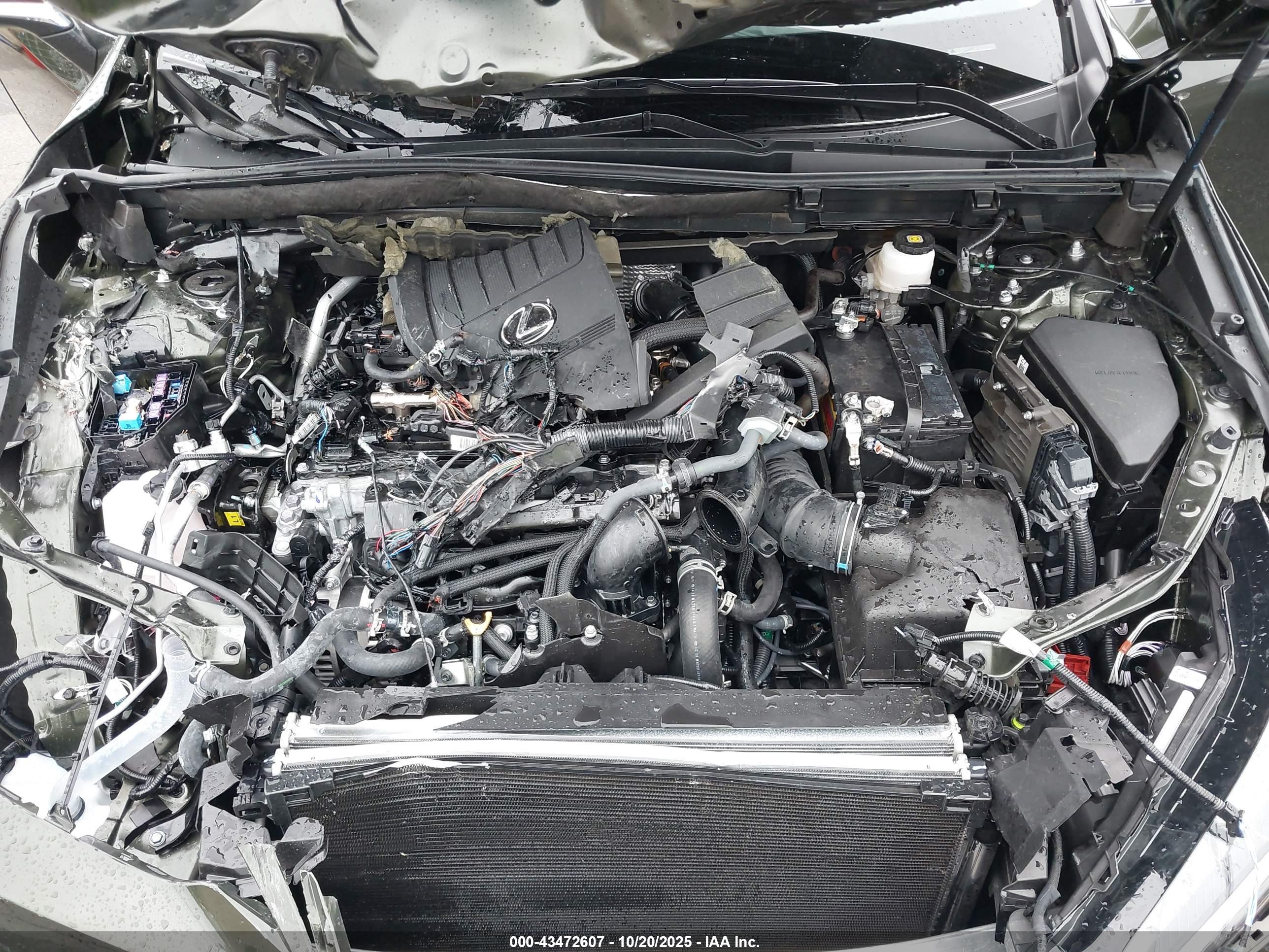LEXUS NX image 10