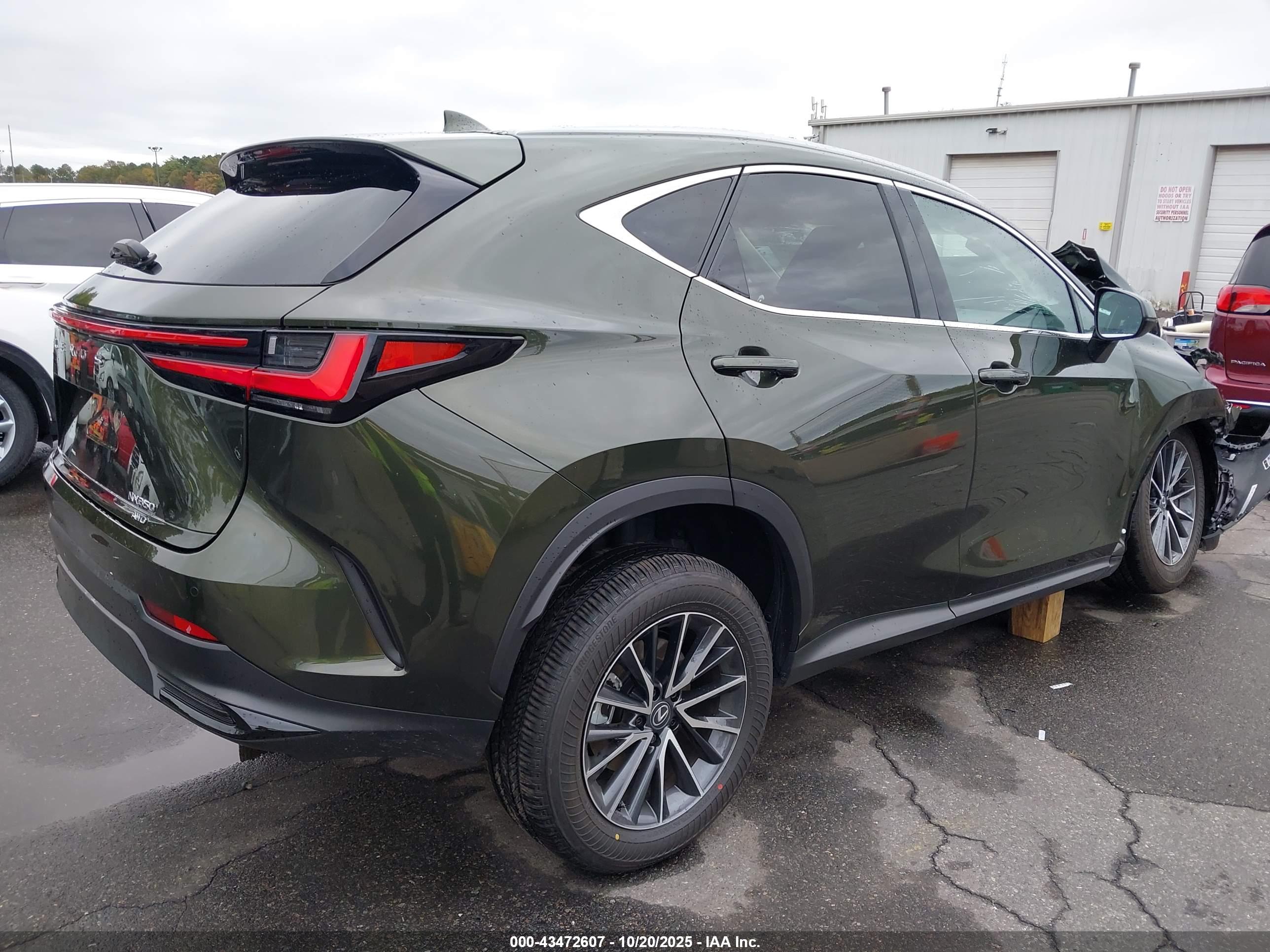 LEXUS NX image 4