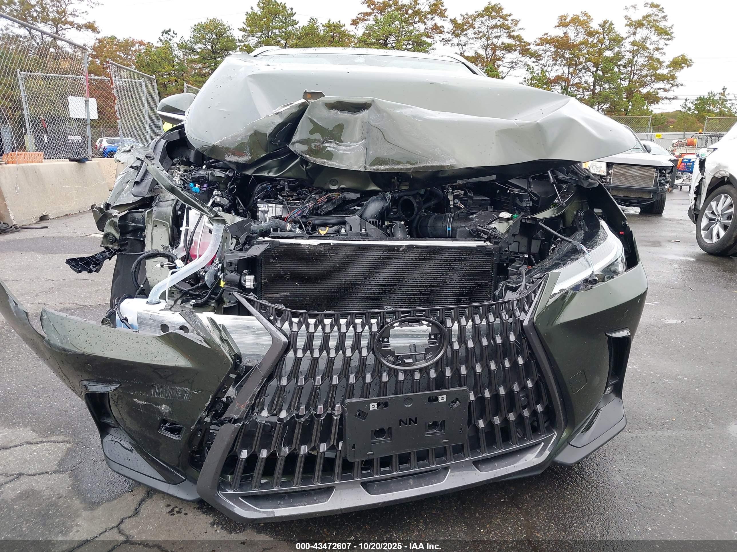 LEXUS NX image 6