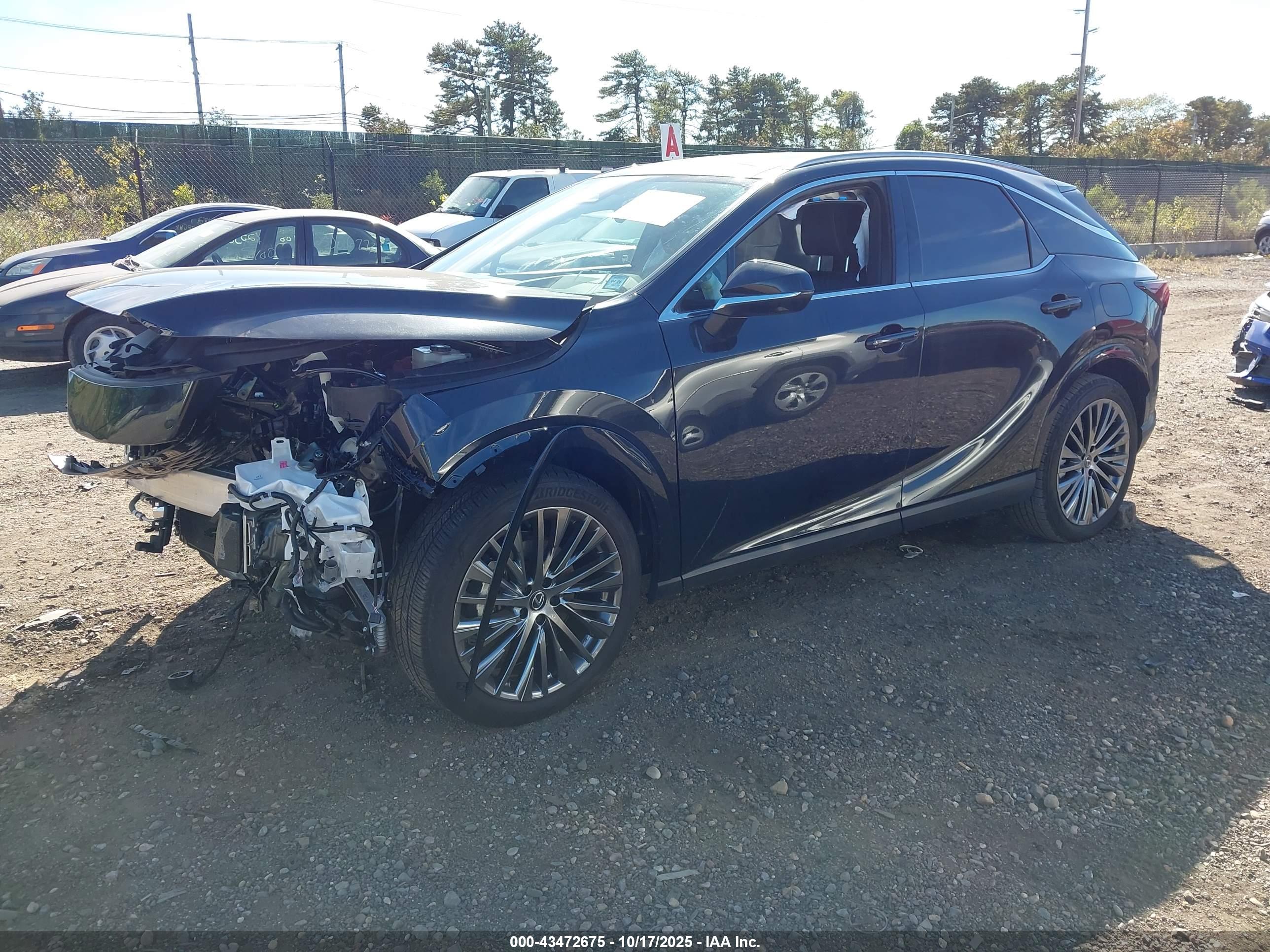 LEXUS RX image 2