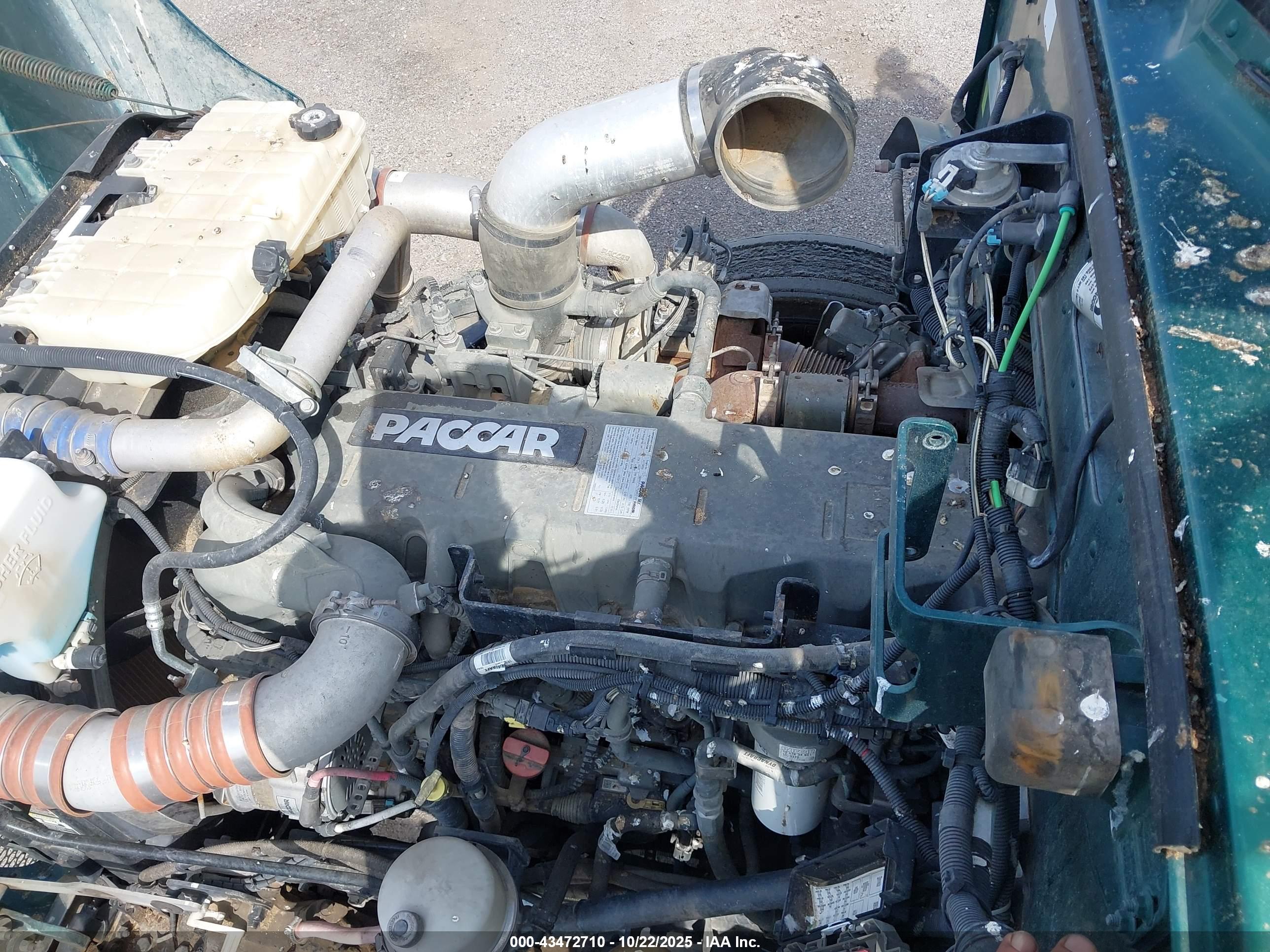 PETERBILT 384 image 10