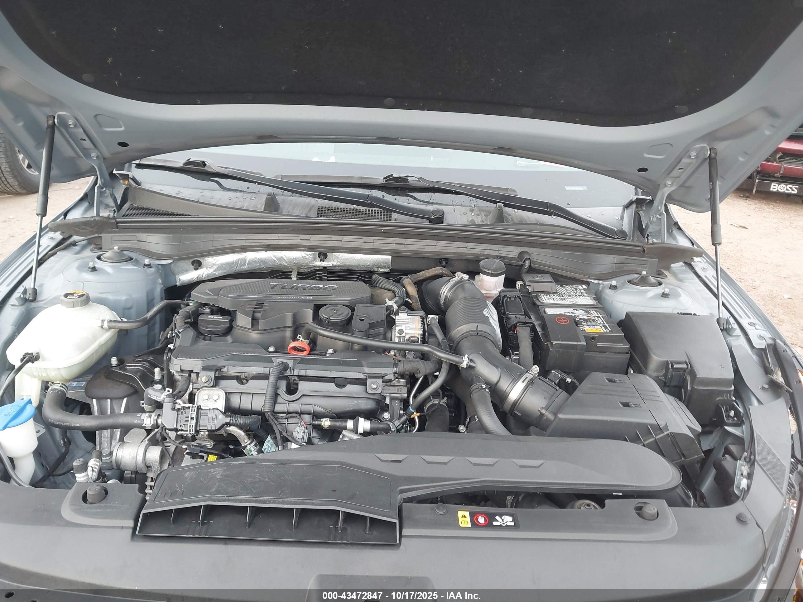 KIA K5 image 10