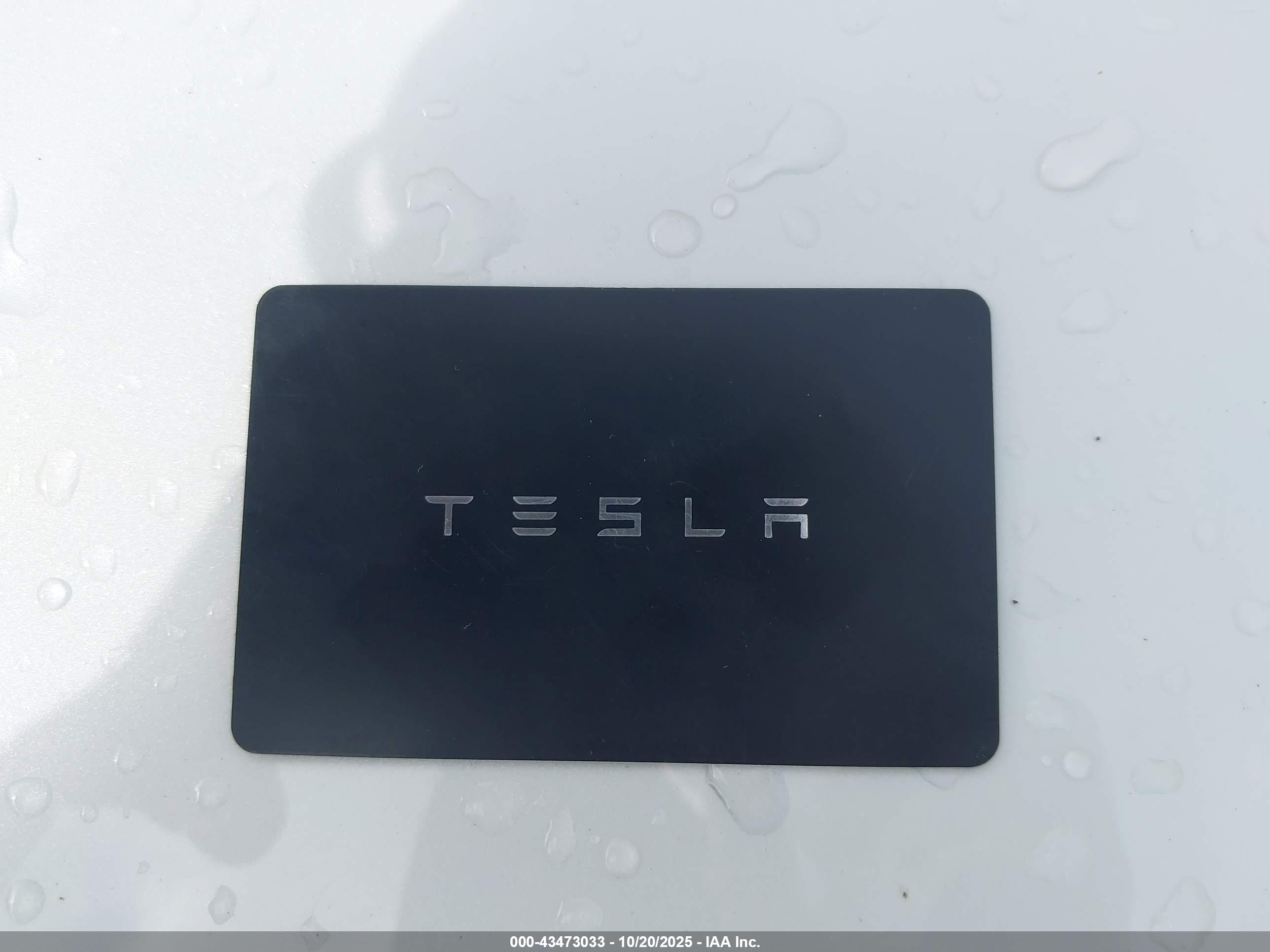TESLA MODEL image 11