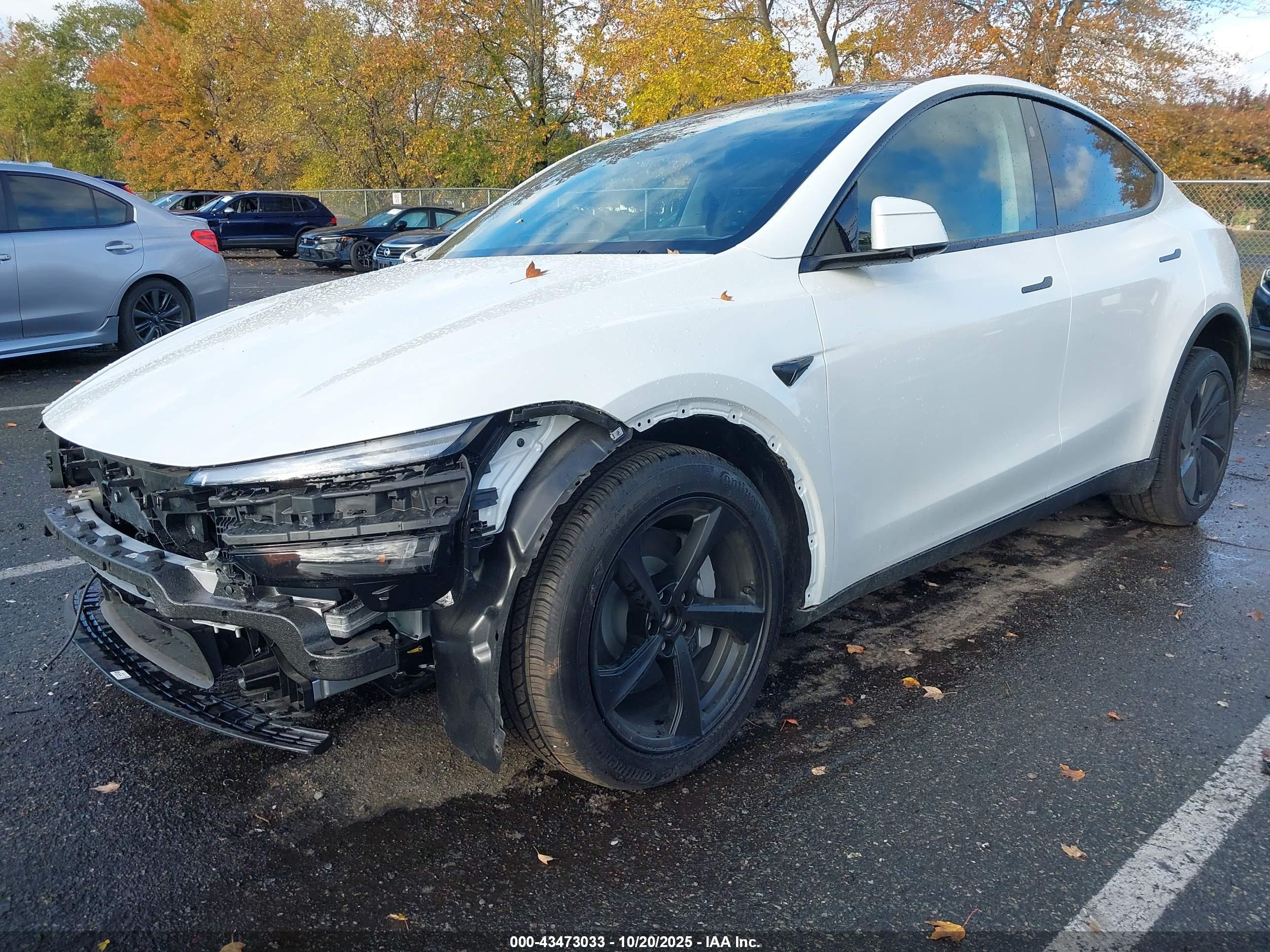 TESLA MODEL image 2